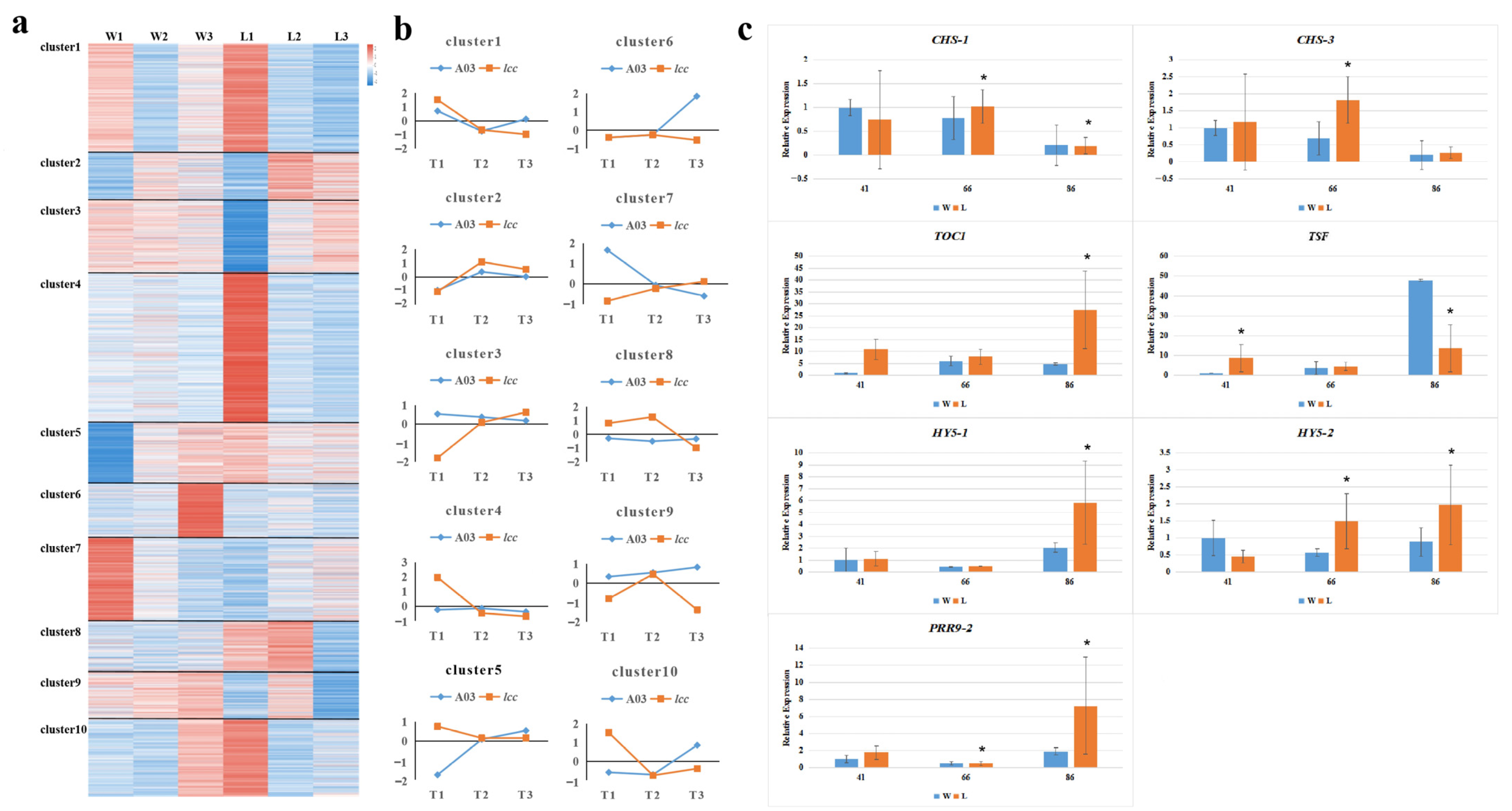 Plants 13 01083 g003