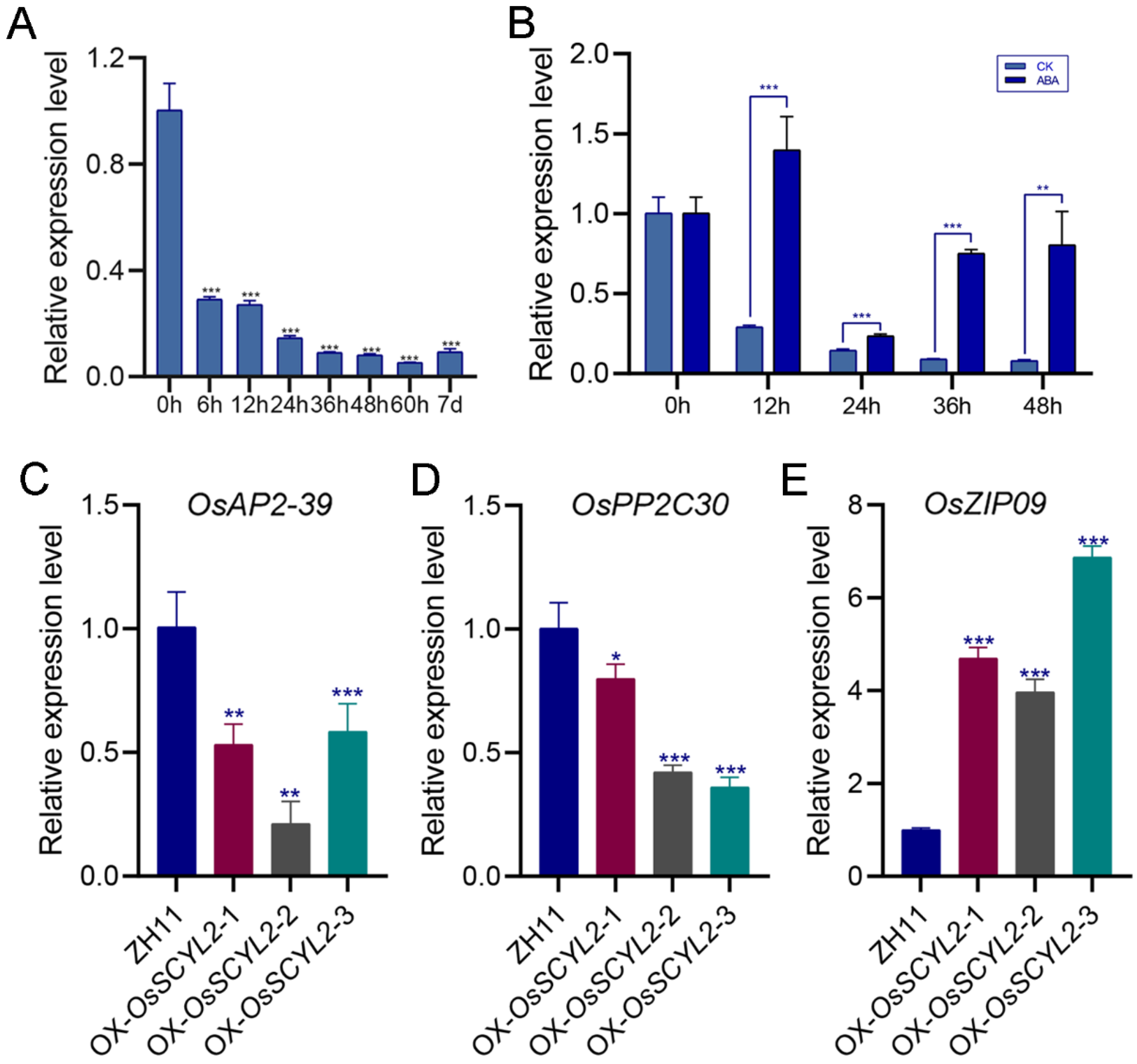 Plants 13 01088 g004