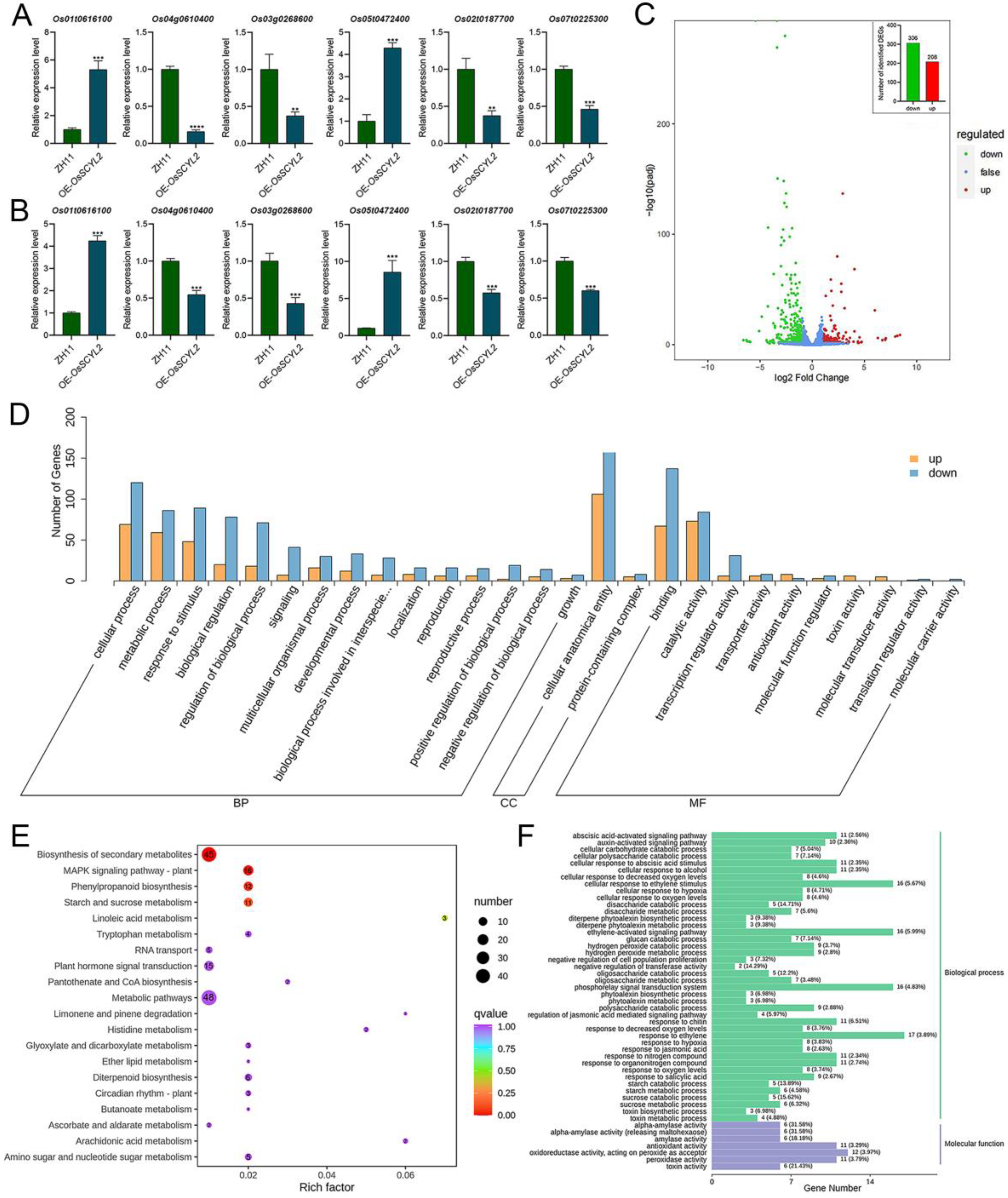 Plants 13 01088 g005