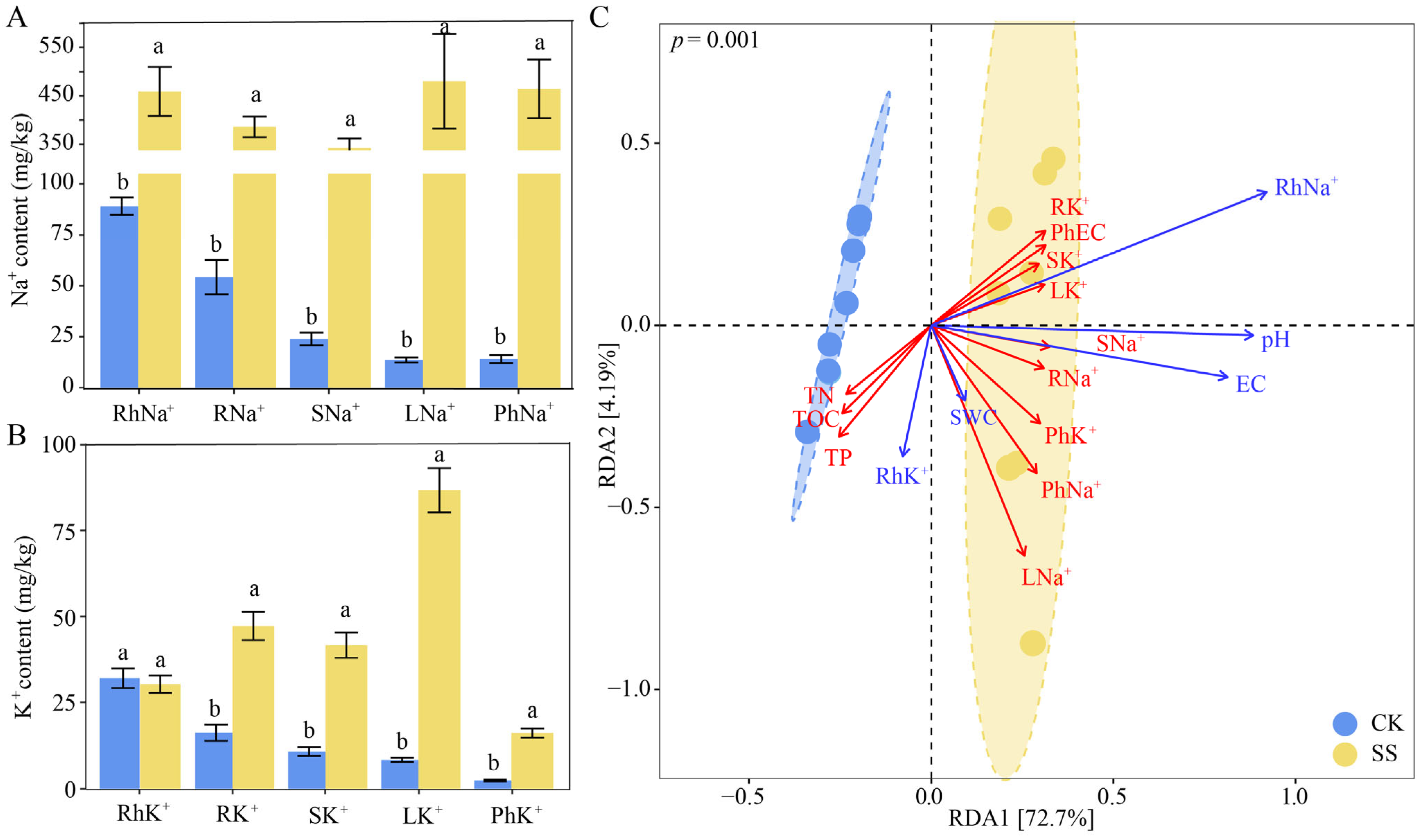 Plants 13 01091 g001