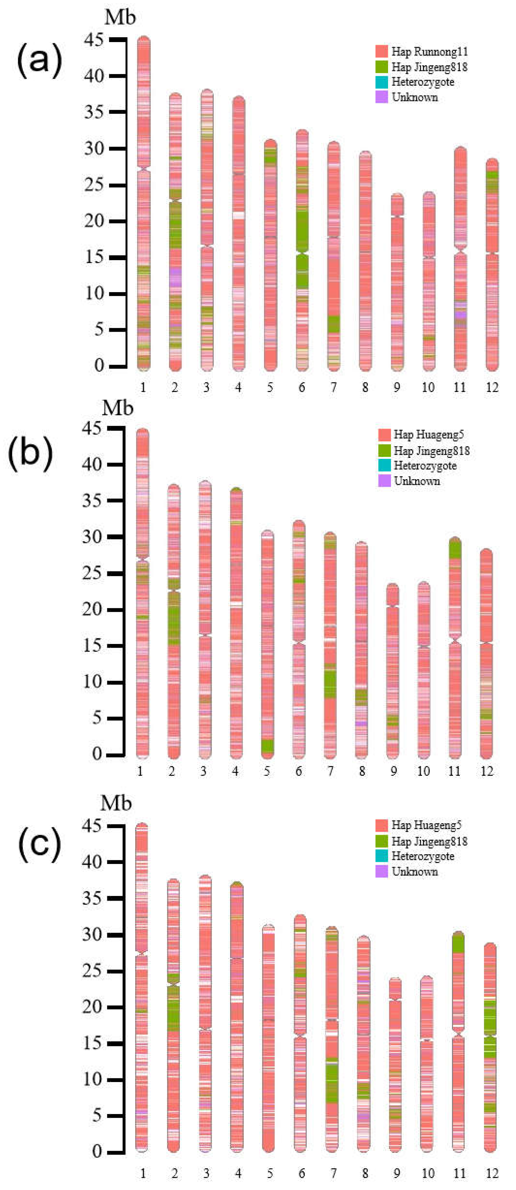 Plants 13 01097 g005