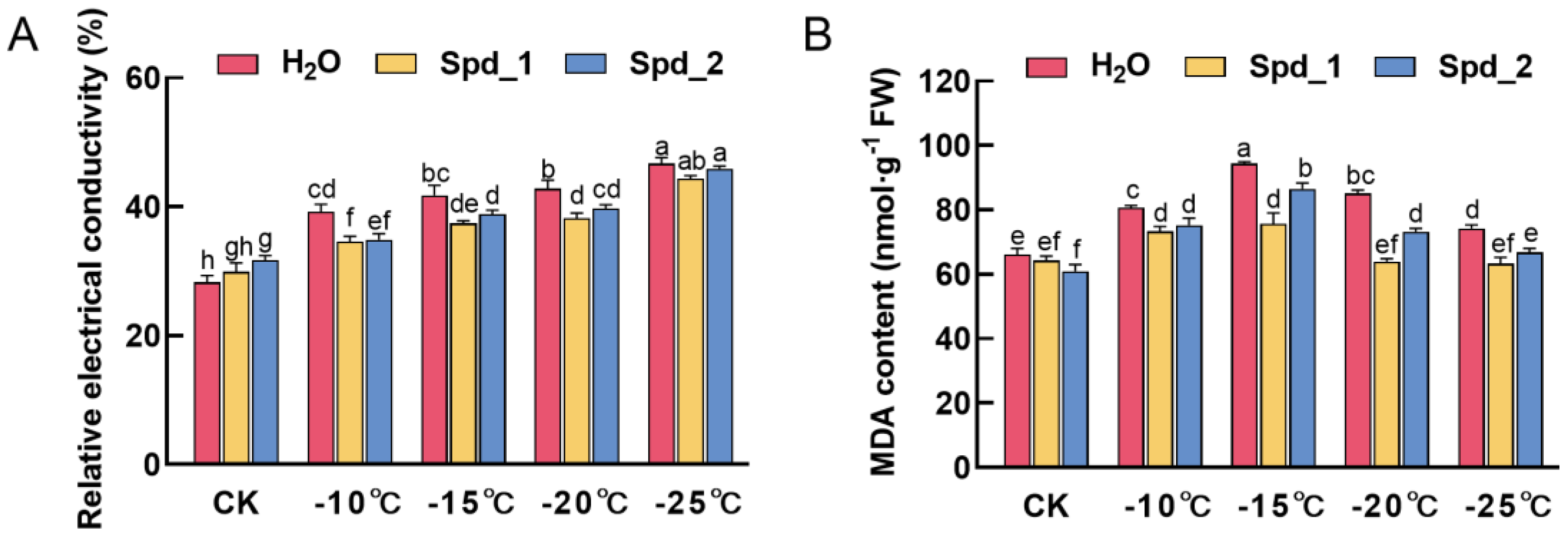Plants 13 01100 g001