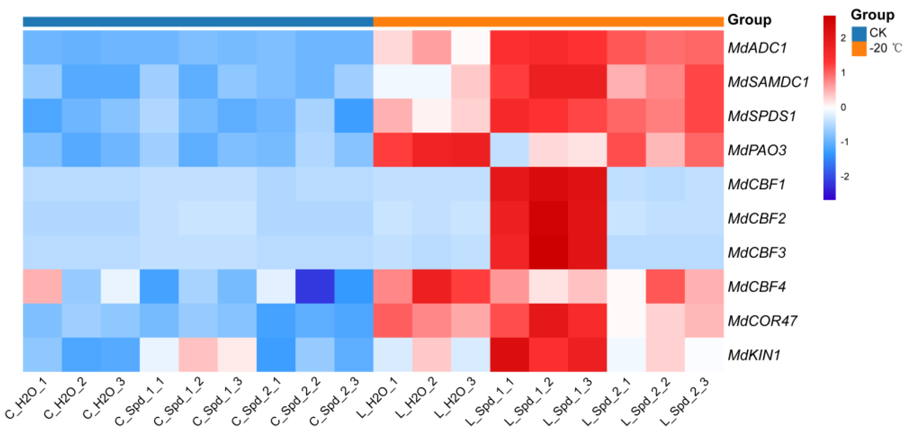 Plants 13 01100 g005