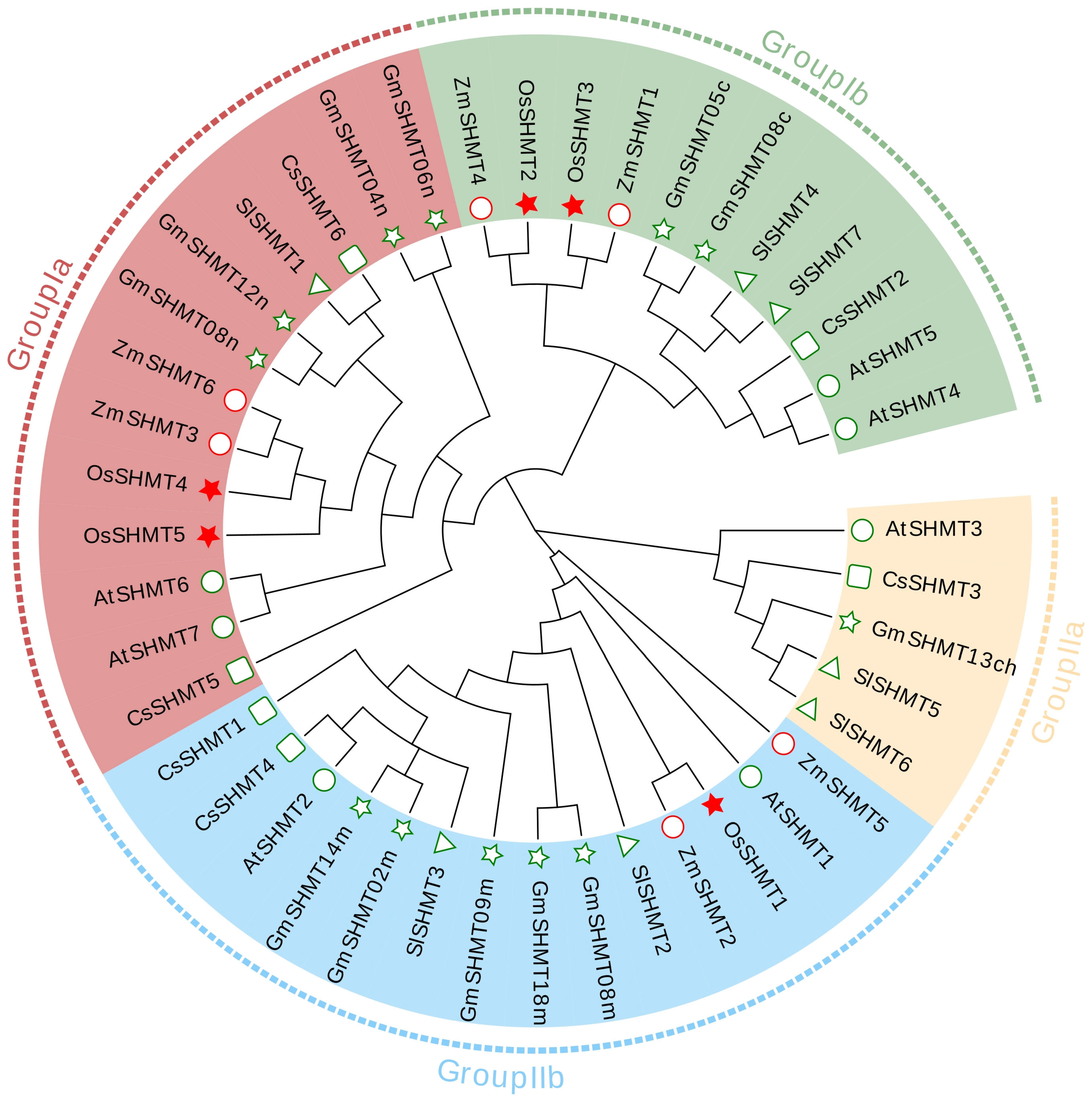 Plants 13 01116 g001