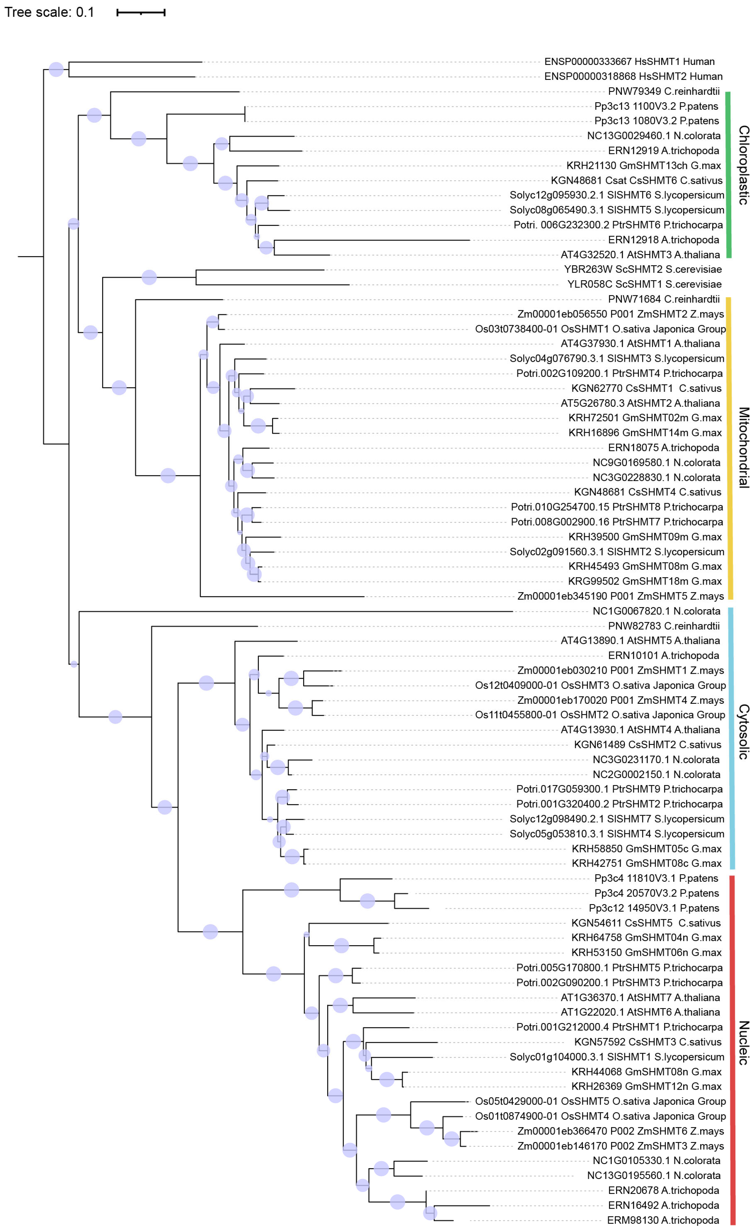 Plants 13 01116 g002
