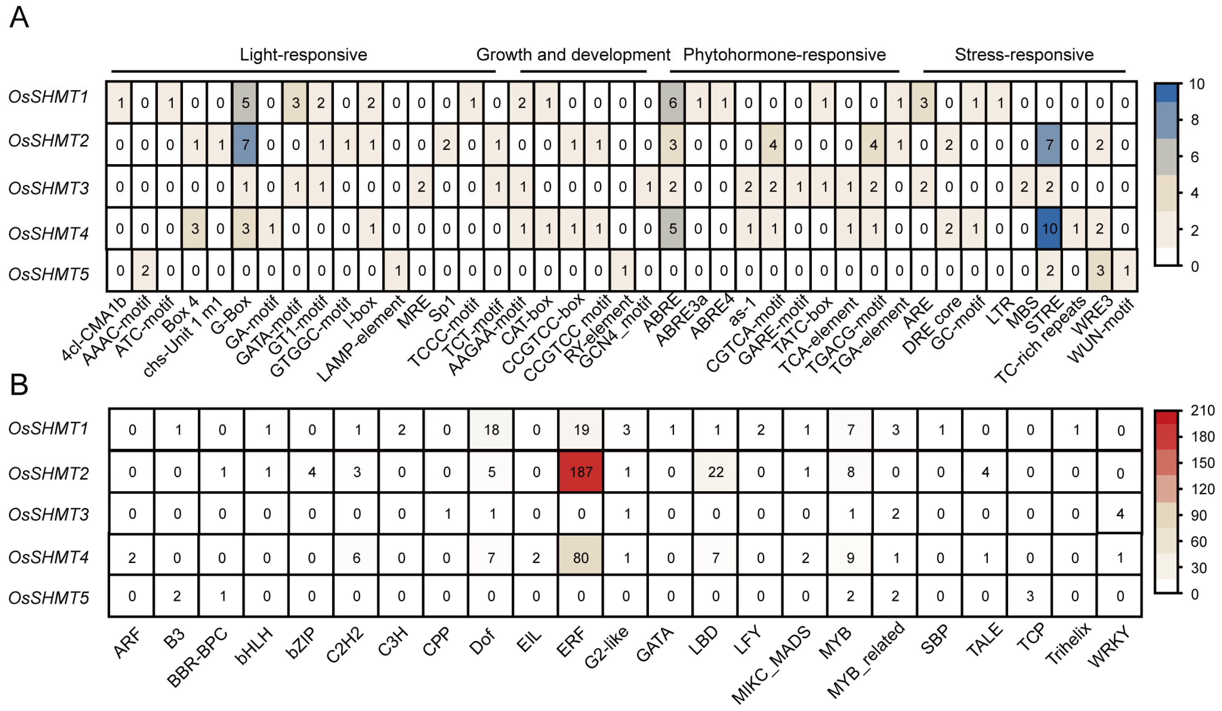 Plants 13 01116 g004