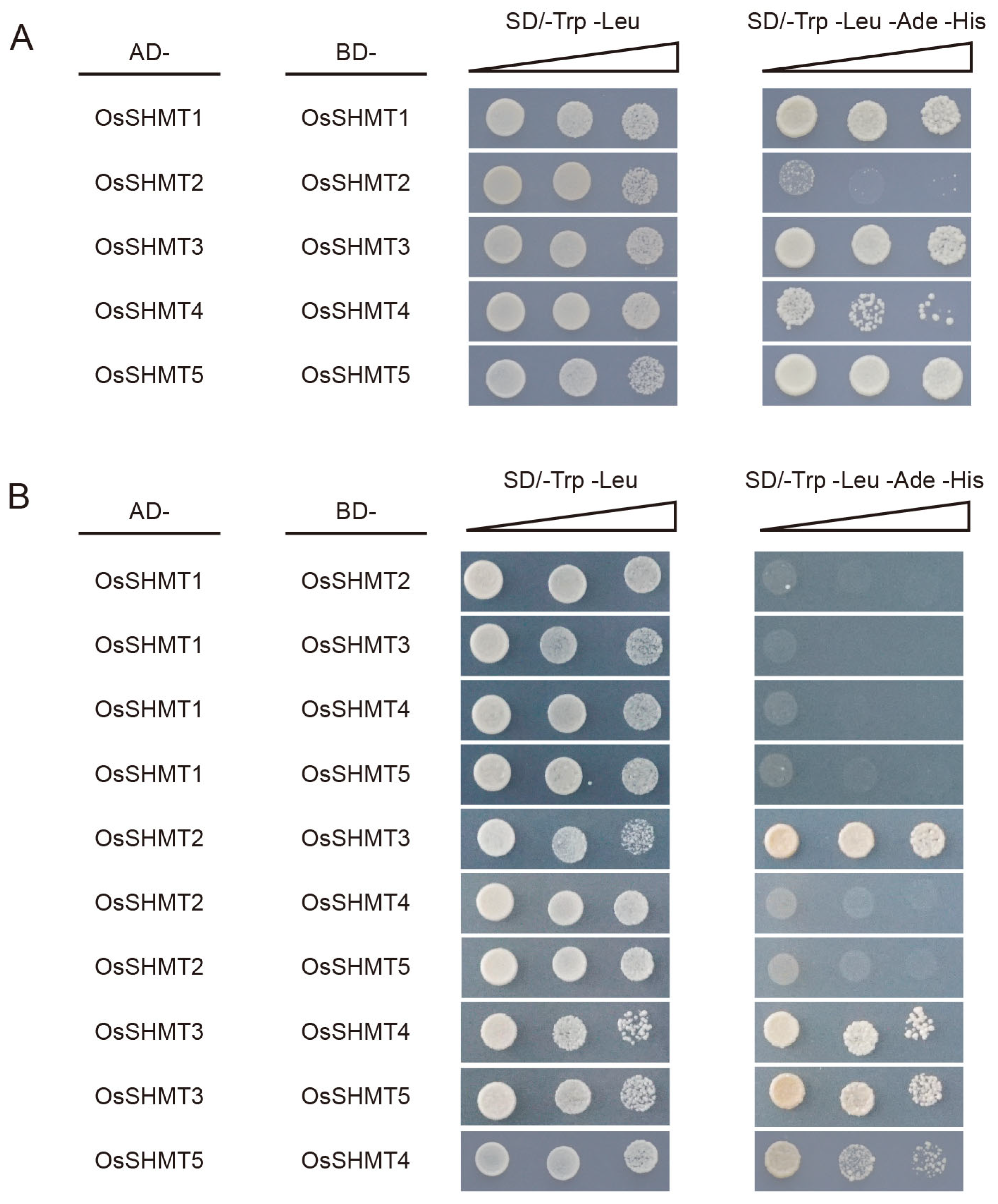 Plants 13 01116 g008