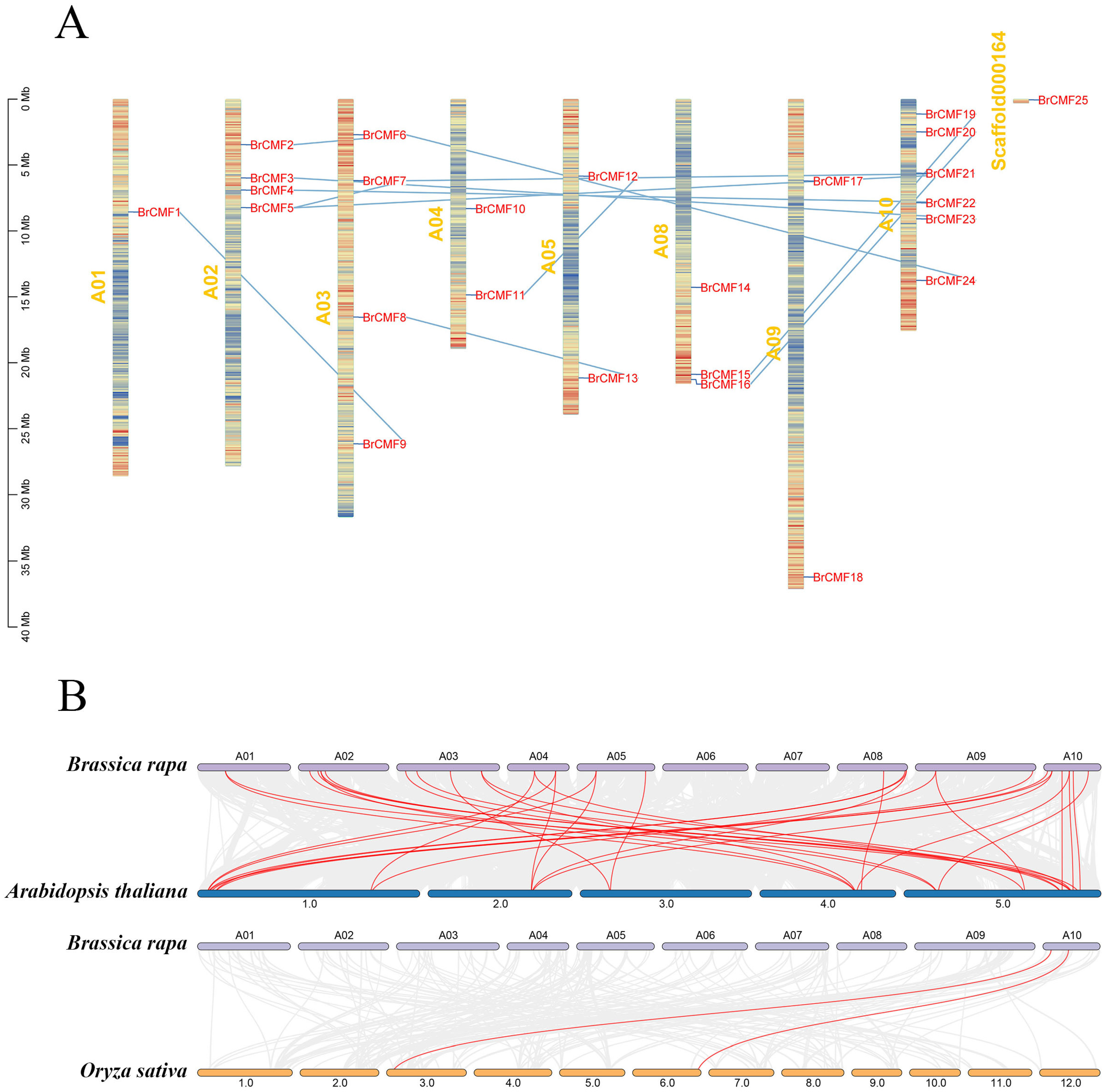 Plants 13 01118 g001a