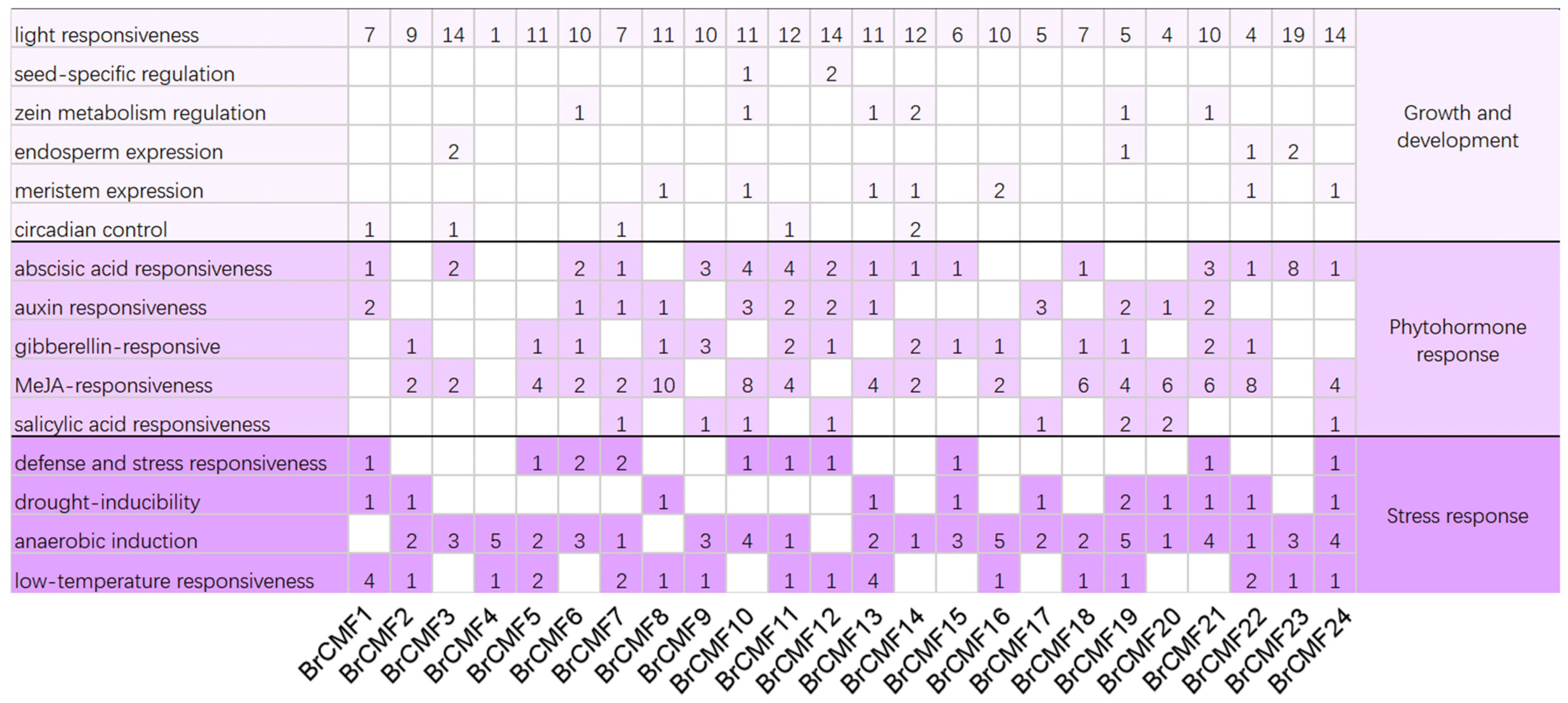 Plants 13 01118 g003