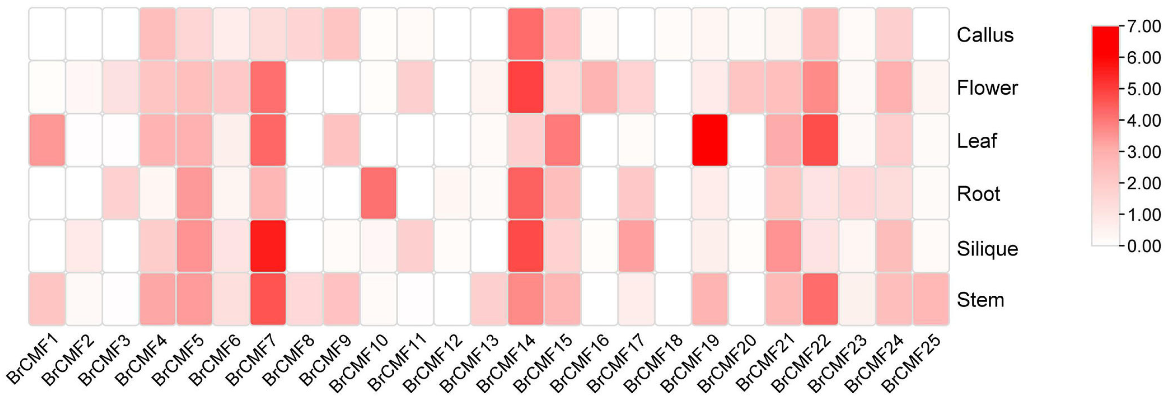 Plants 13 01118 g004