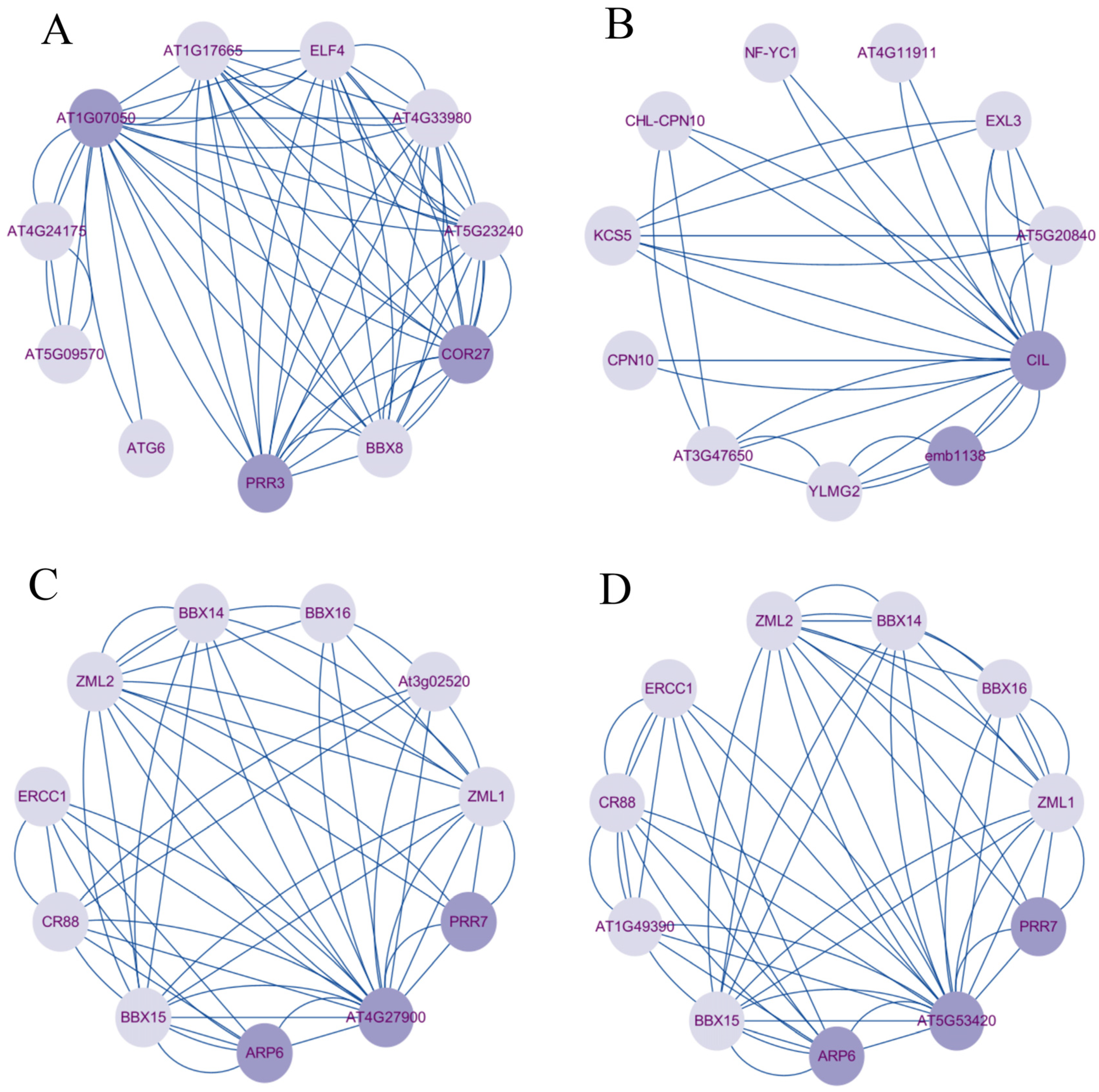 Plants 13 01118 g006