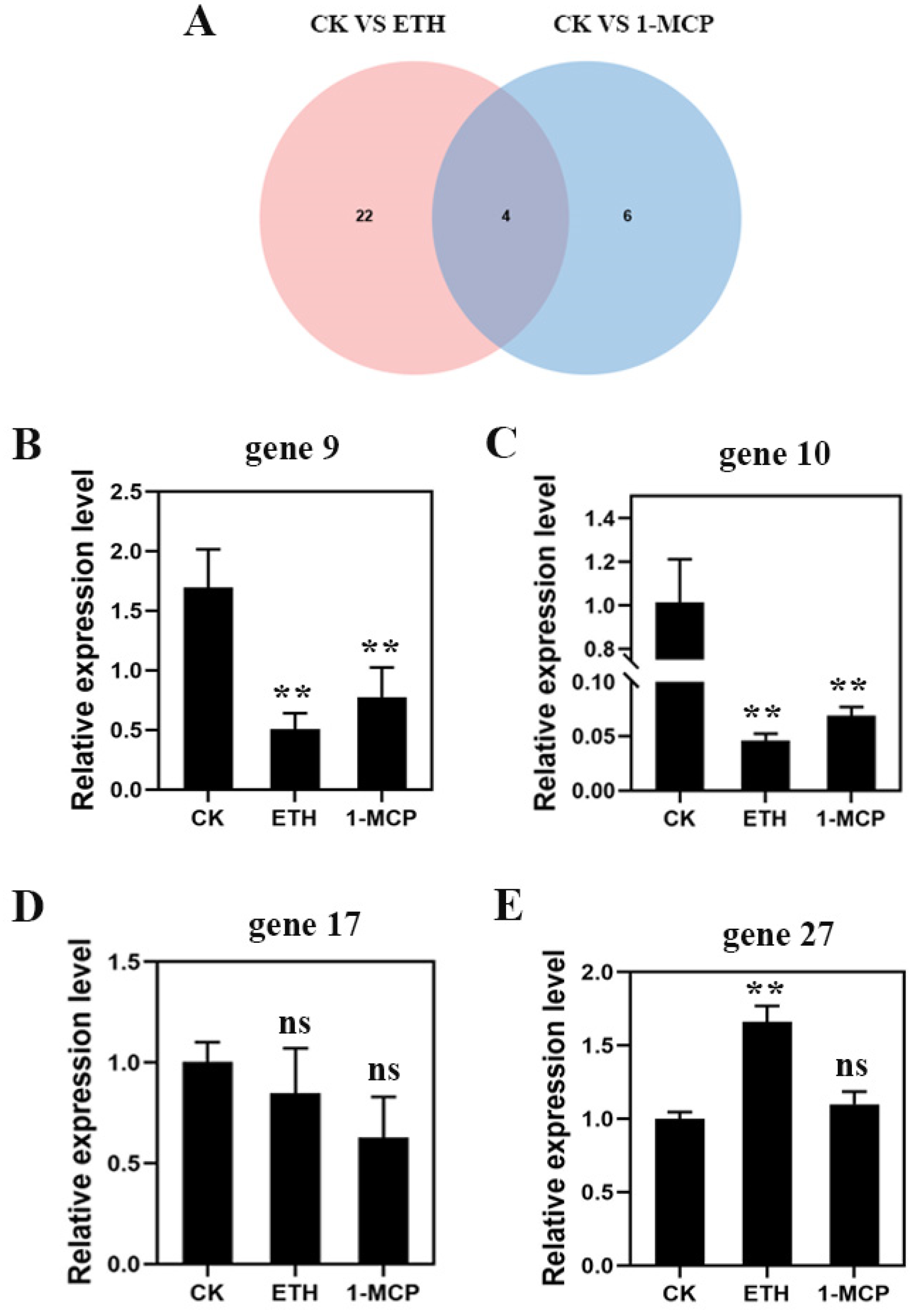 Plants 13 01121 g005
