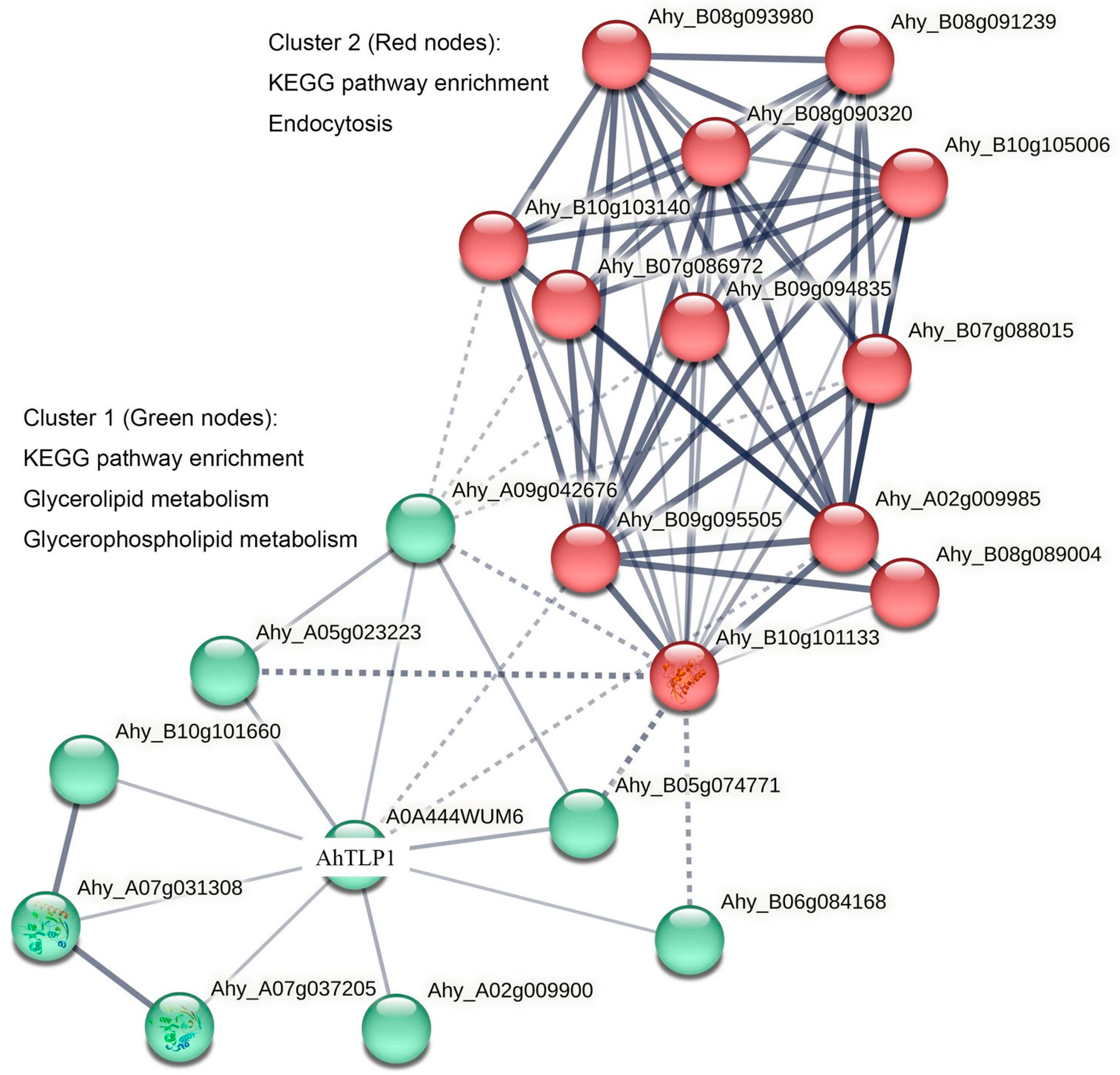 Plants 13 01124 g003 Plants 13 01124 g003
