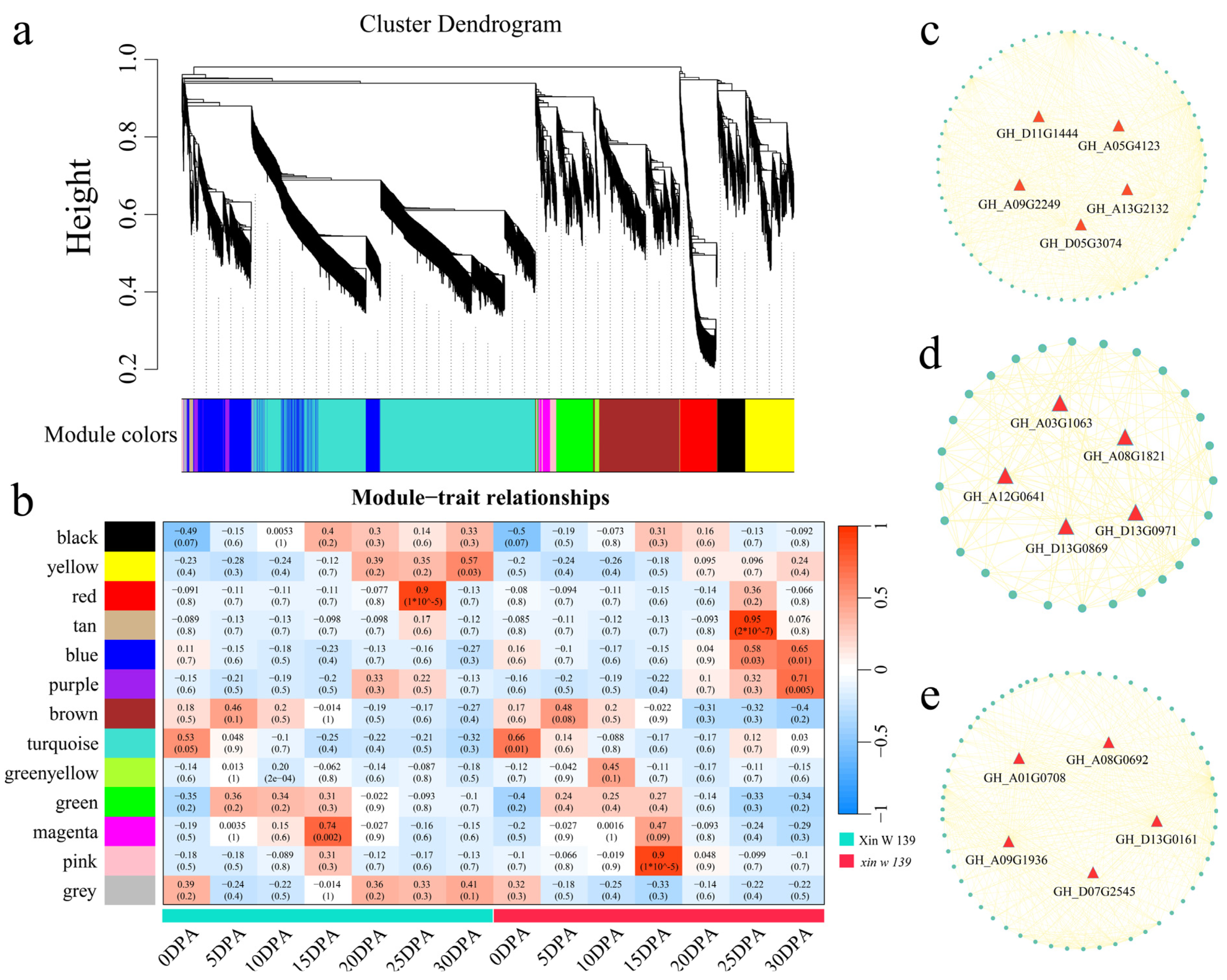 Plants 13 01127 g007