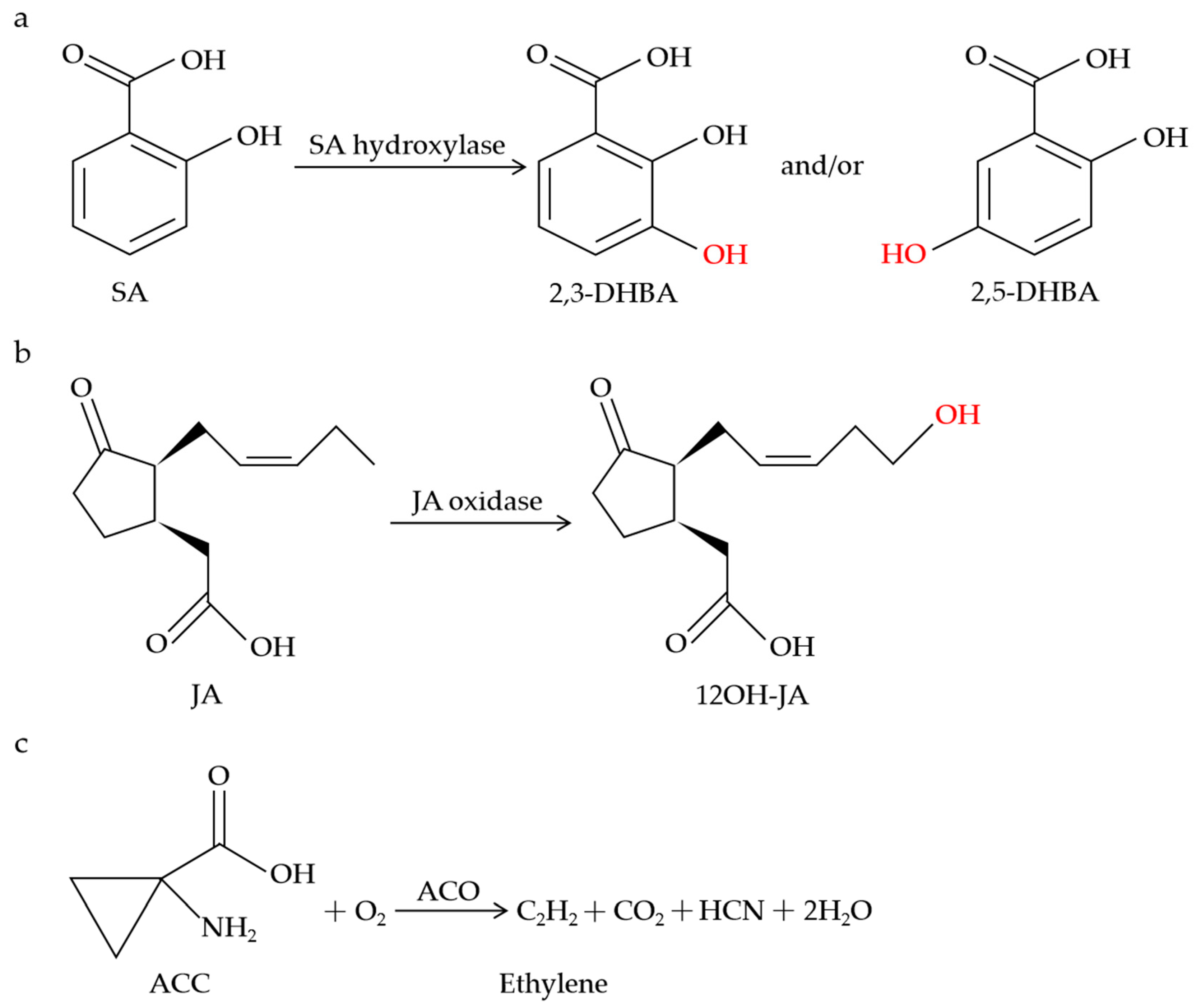 Plants 13 01129 g001 Plants 13 01129 g001
