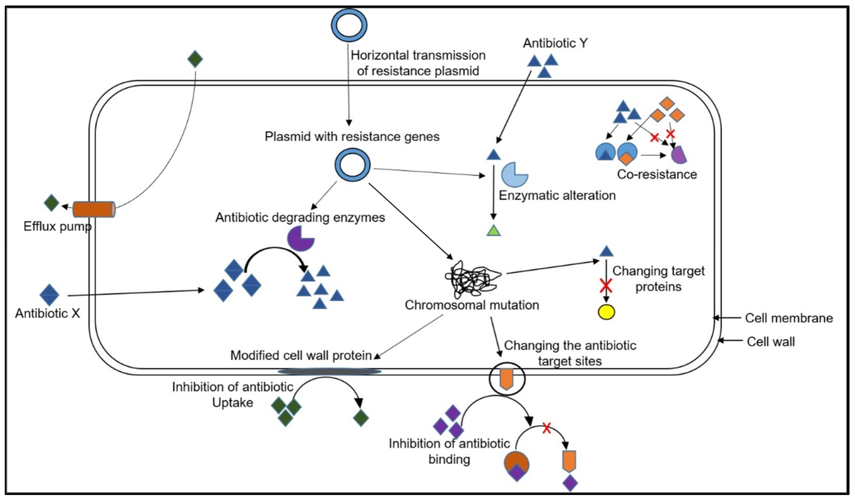 Plants 13 01135 g002