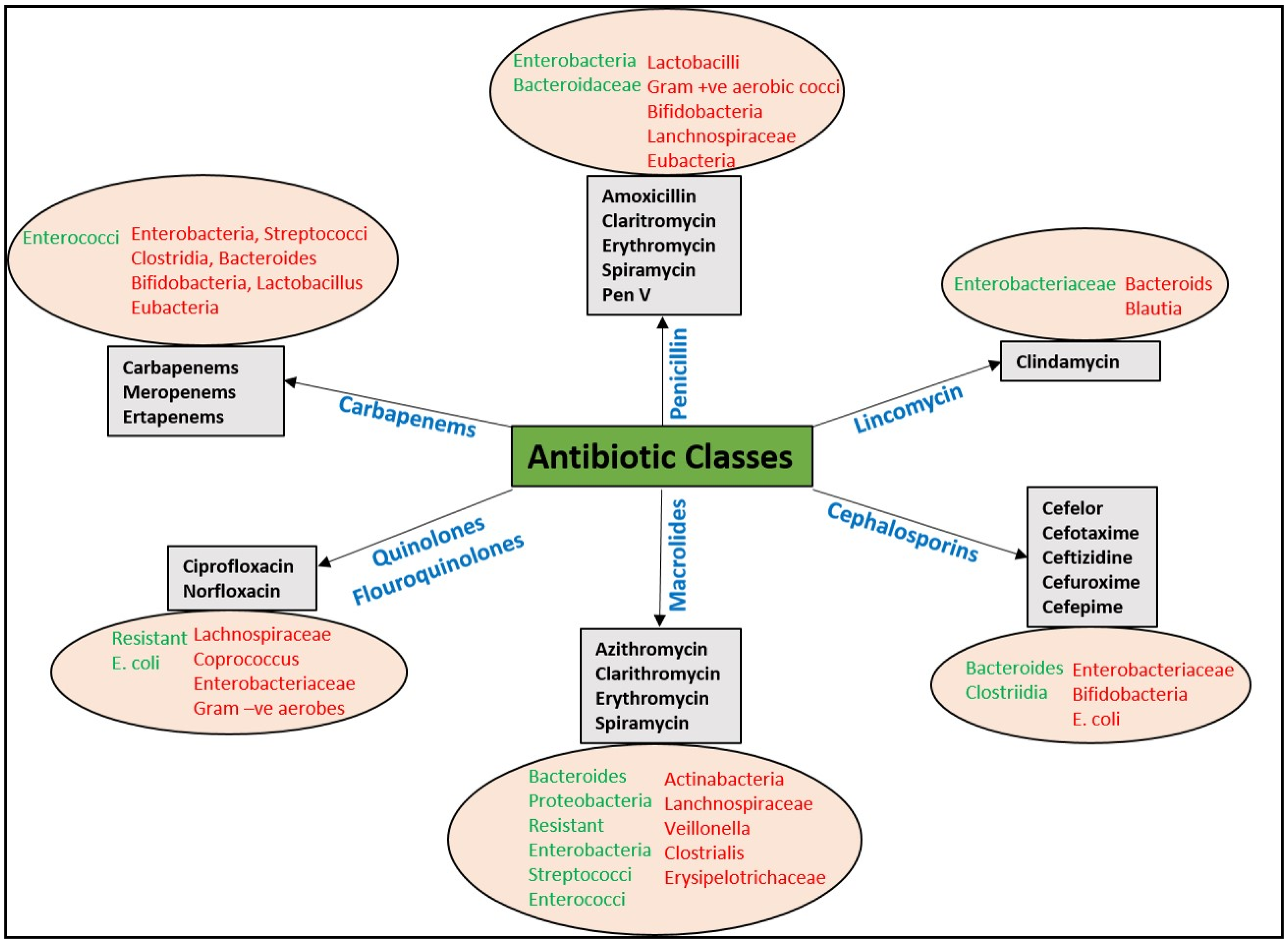 Plants 13 01135 g004