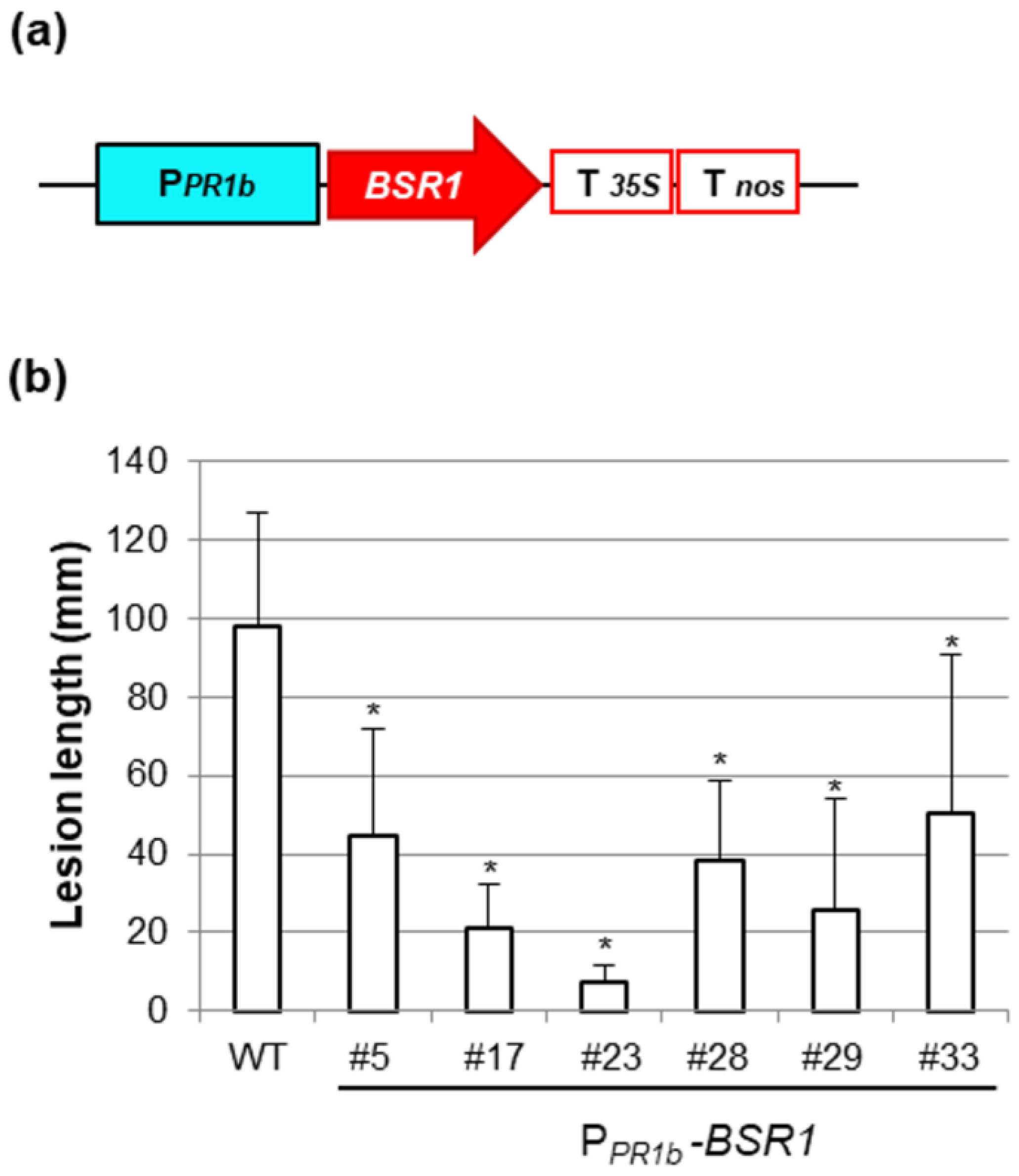 Plants 13 01138 g003 Plants 13 01138 g003