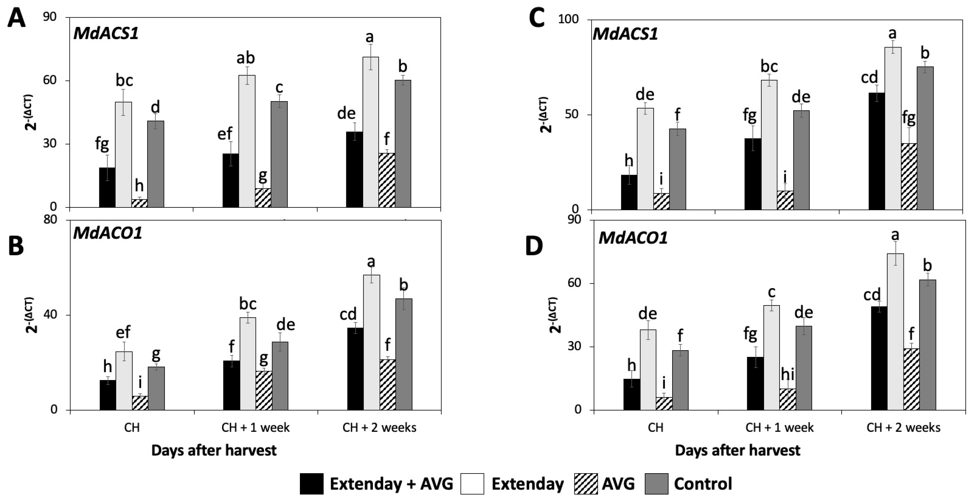 Plants 13 01141 g002