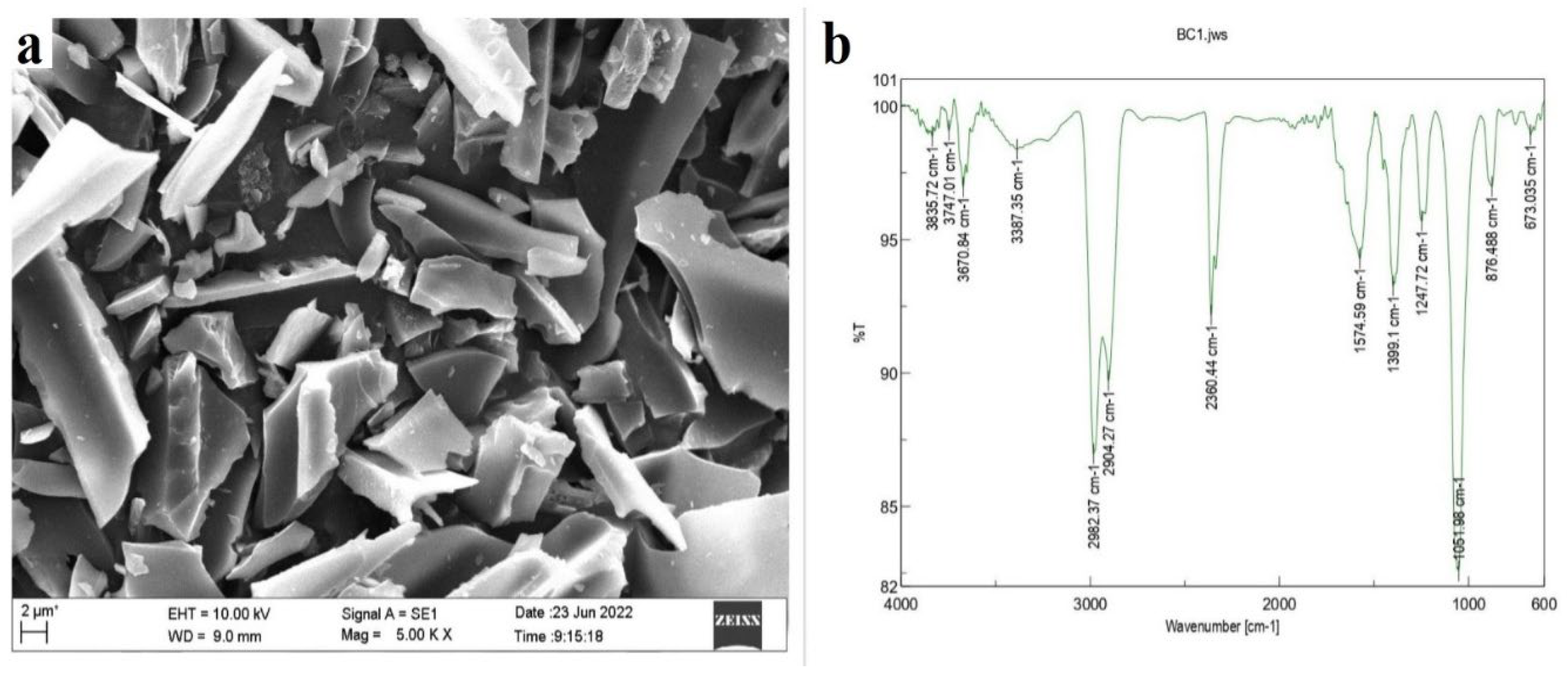 Plants 13 01143 g001