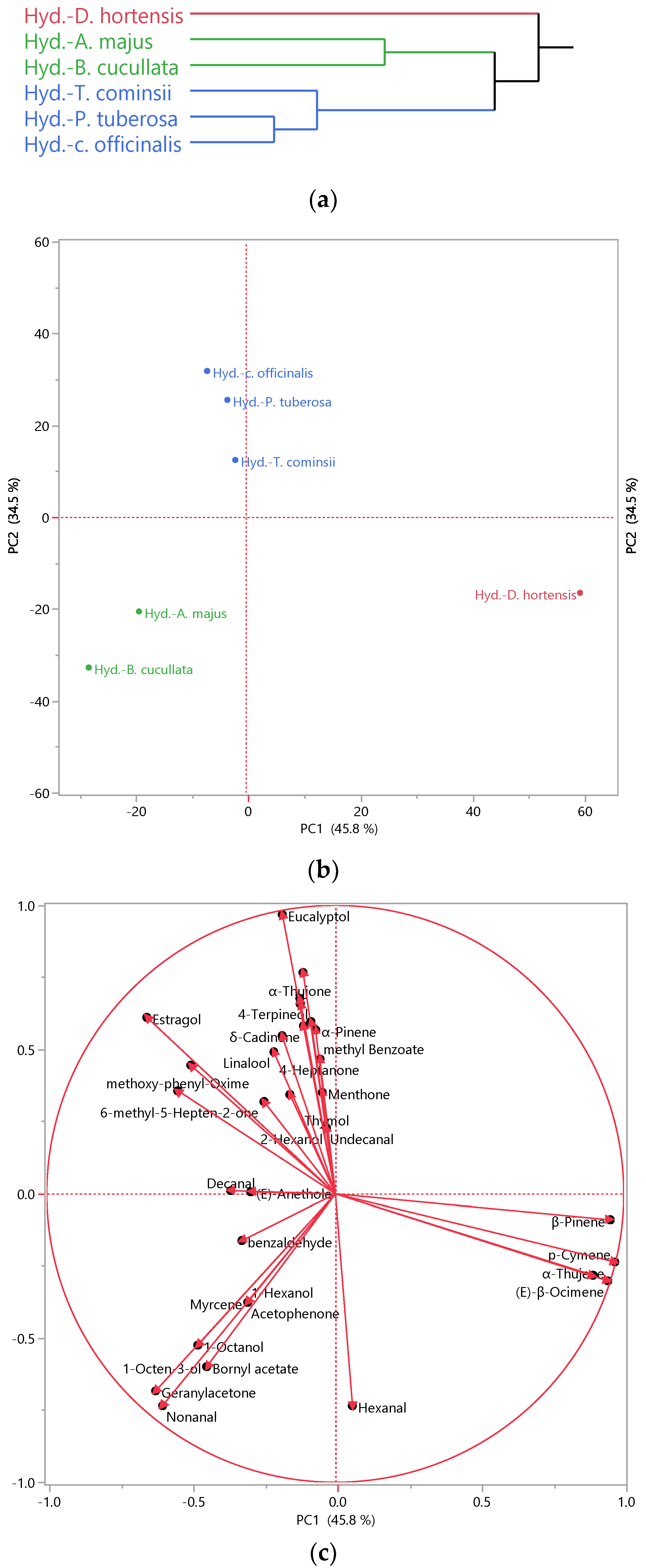 Plants 13 01145 g001 Plants 13 01145 g001