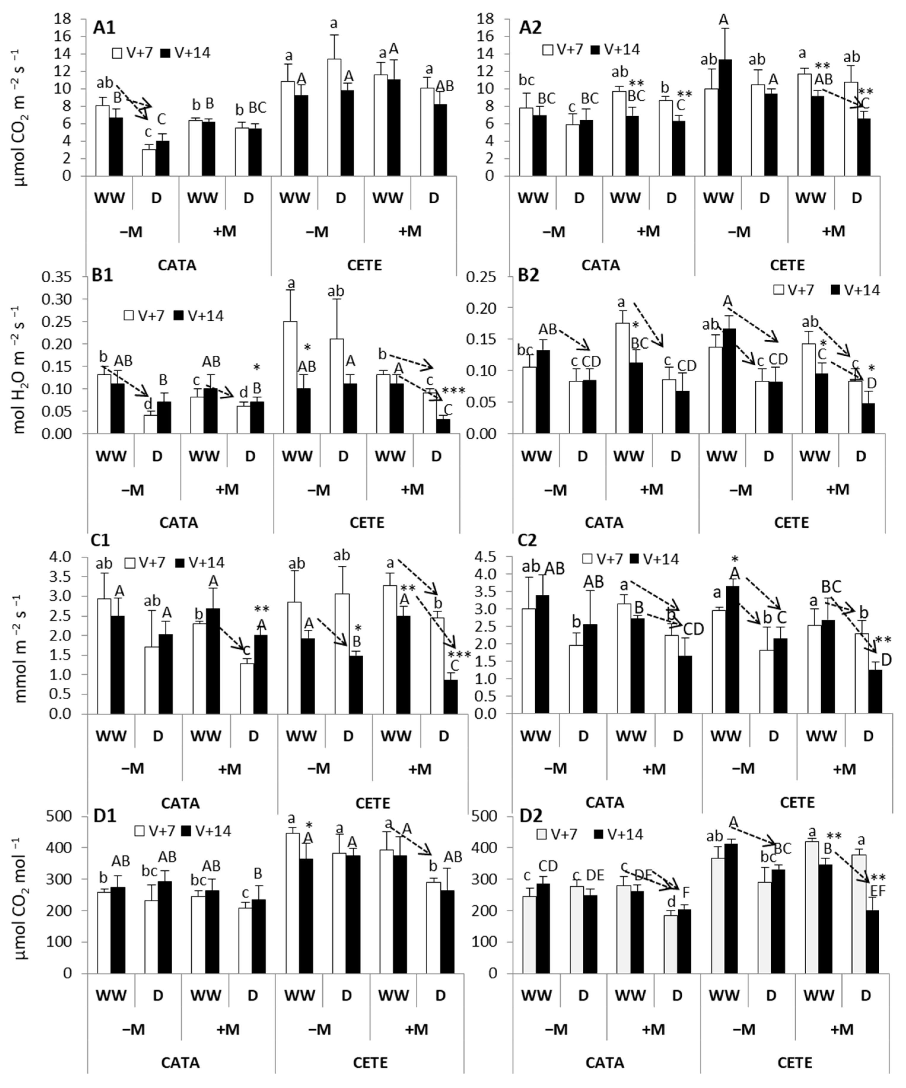 Plants 13 01155 g002