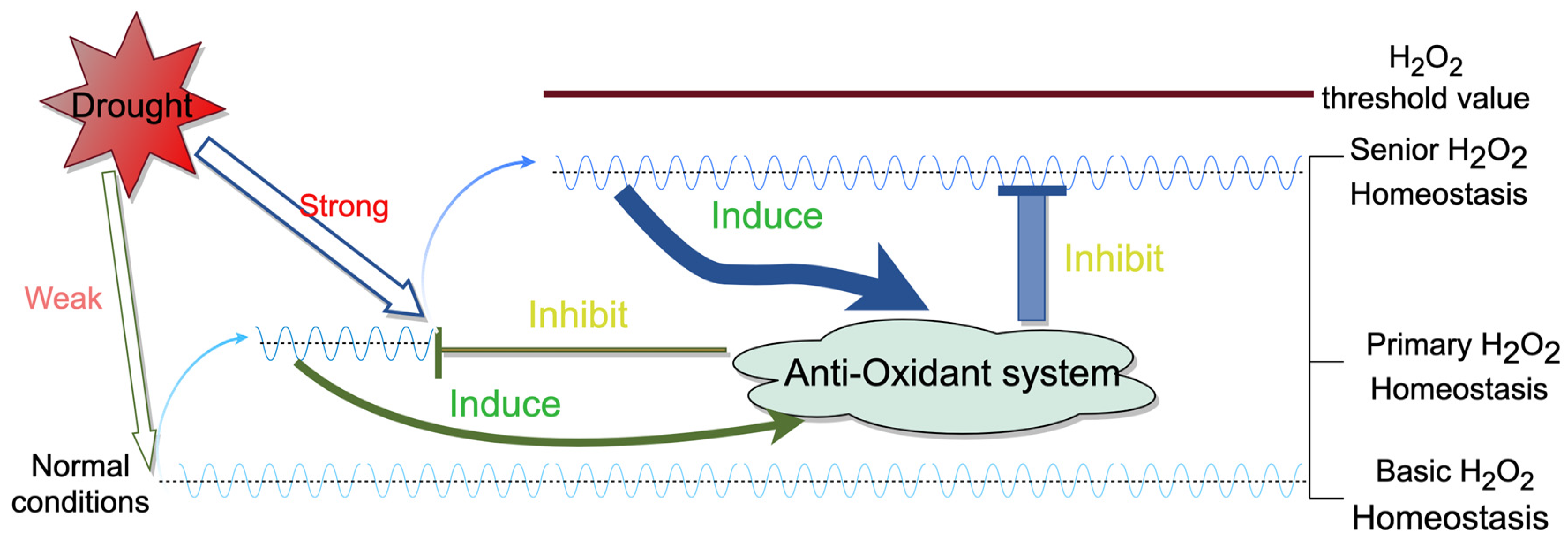 Plants 13 01202 g009