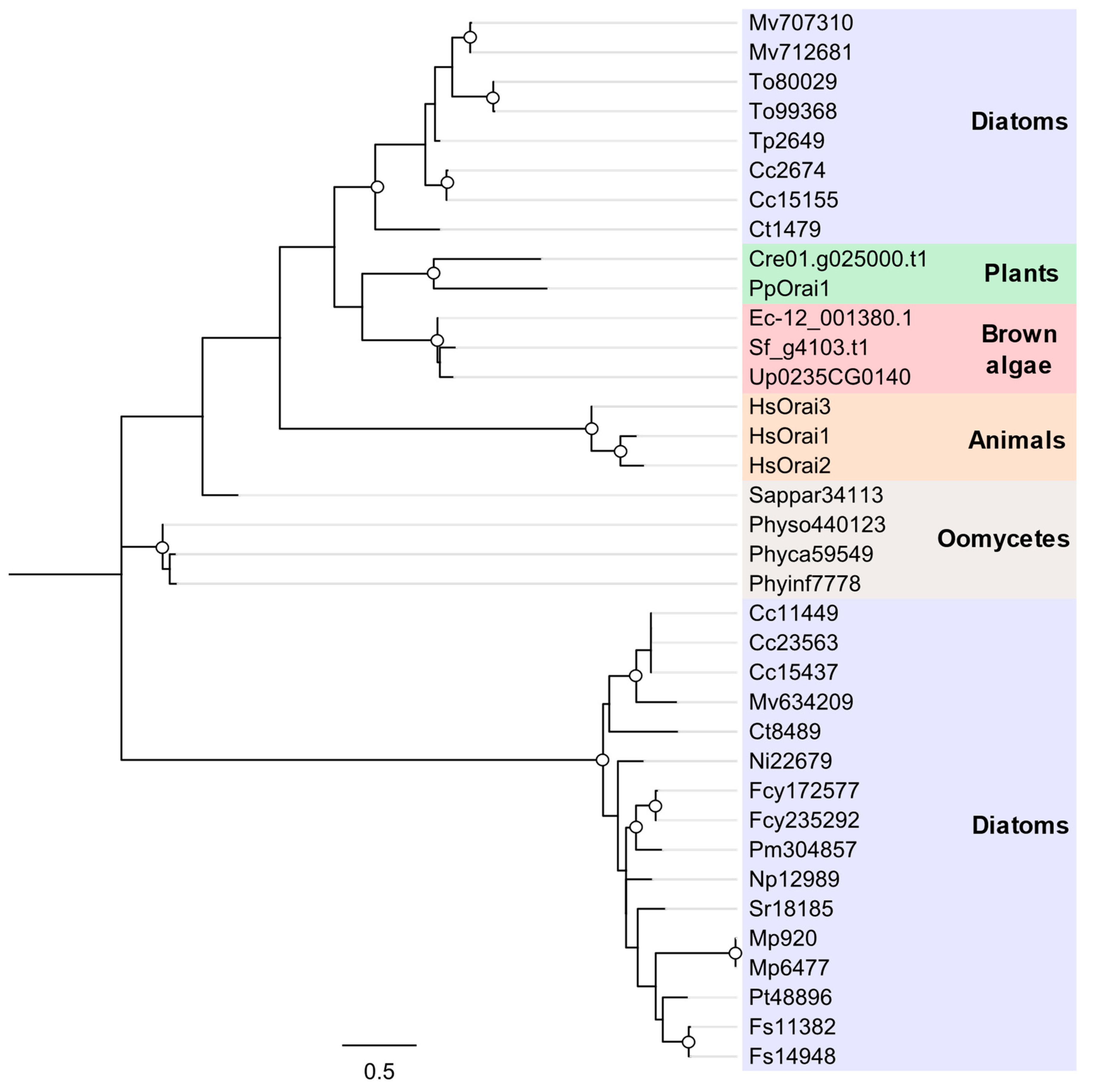 Plants 13 01207 g008