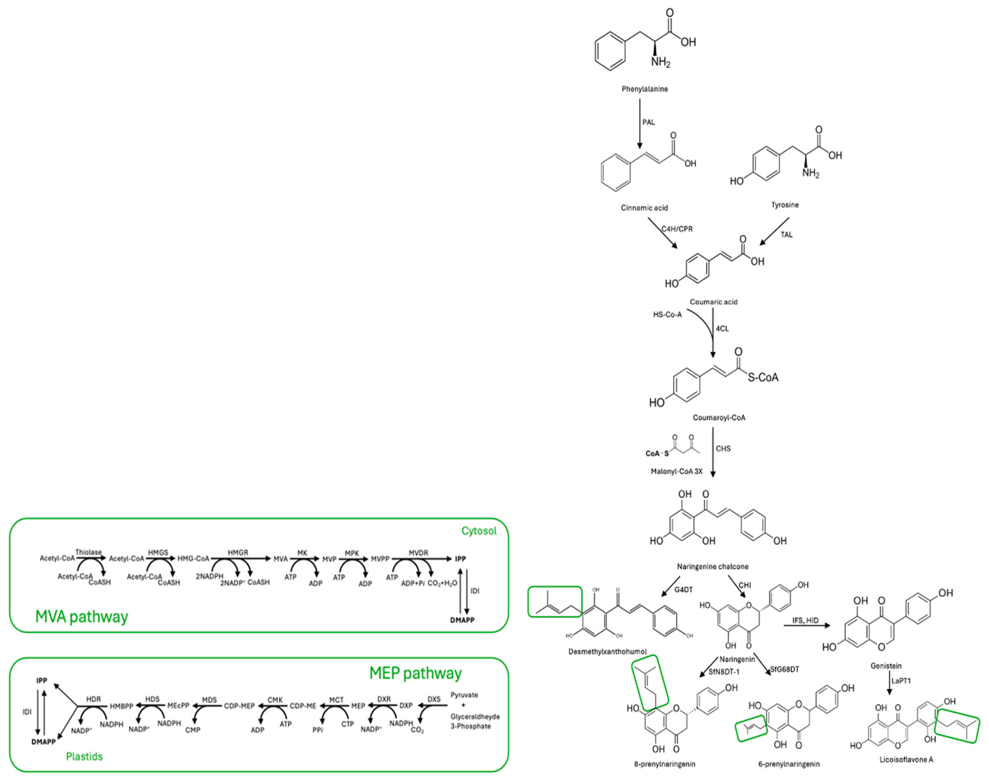 Plants 13 01211 g001