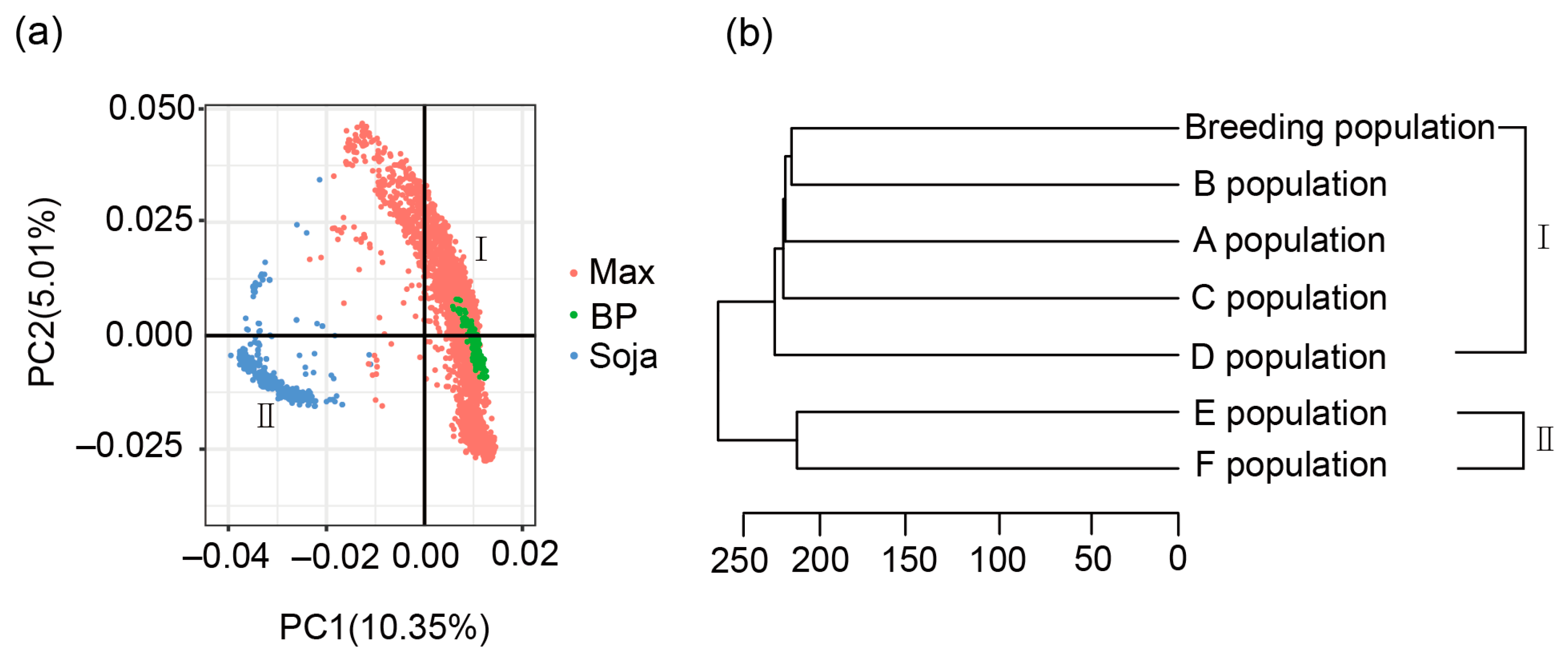 Plants 13 01260 g001