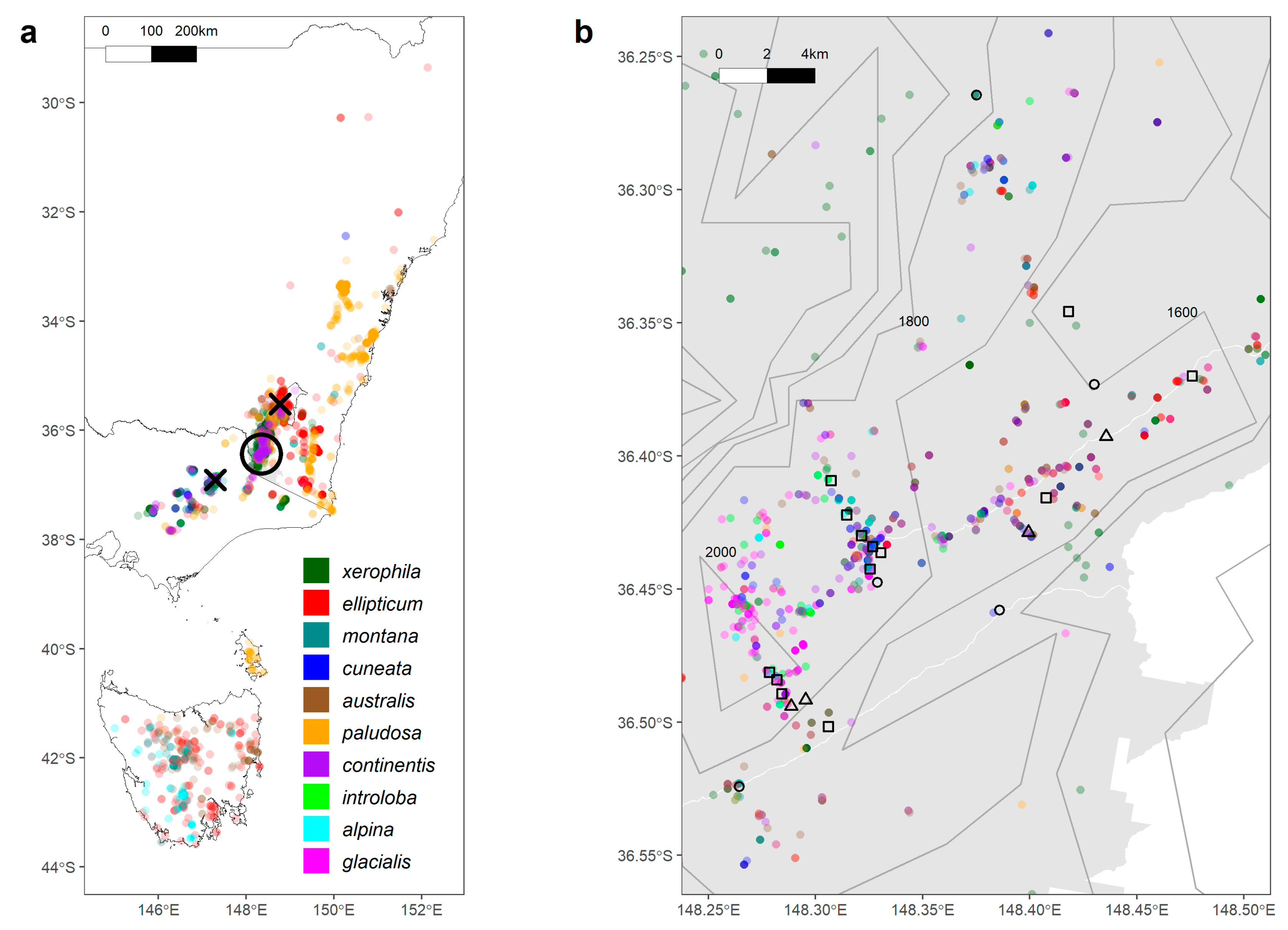 Plants 13 01271 g005