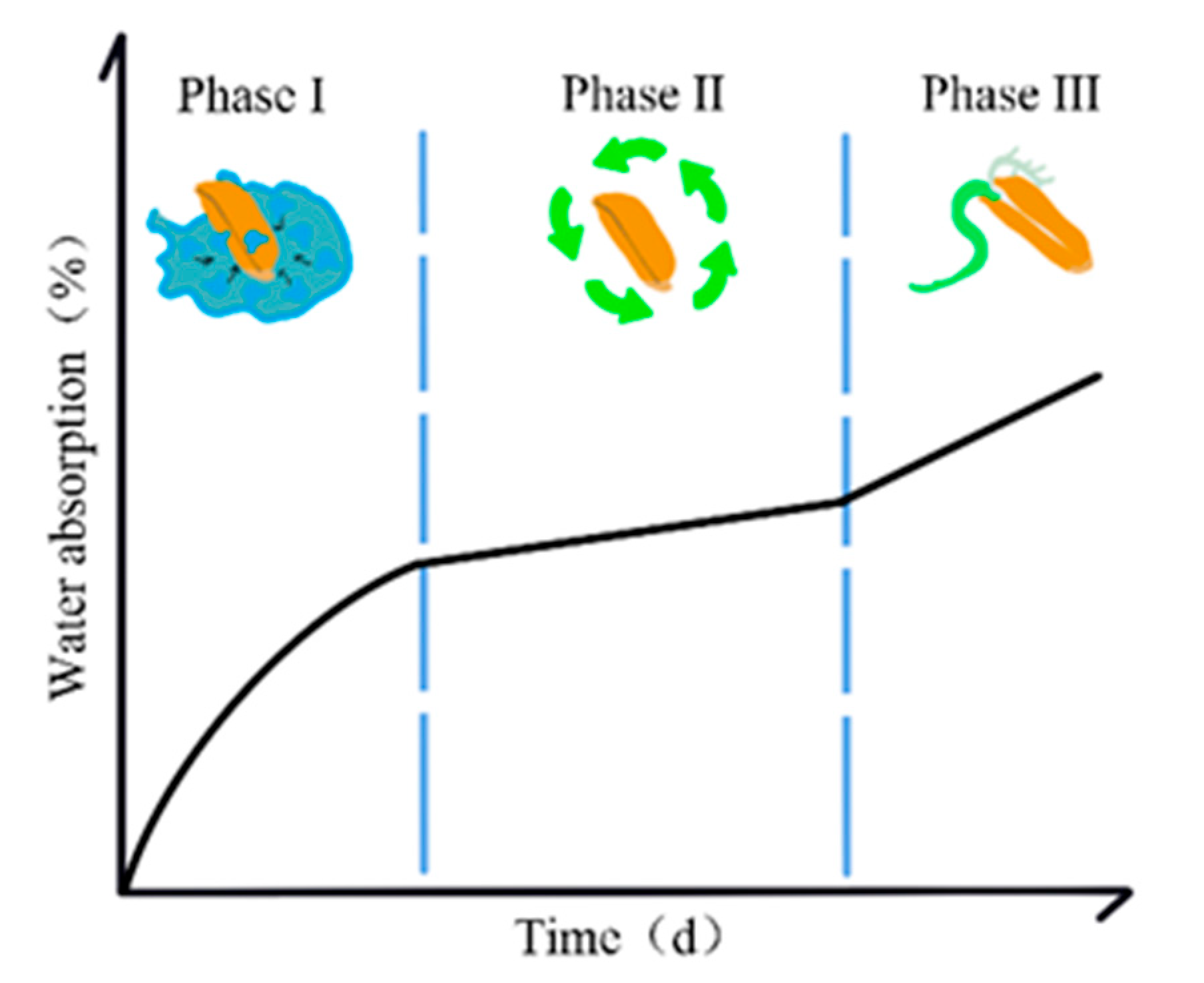 Plants 13 01319 g001