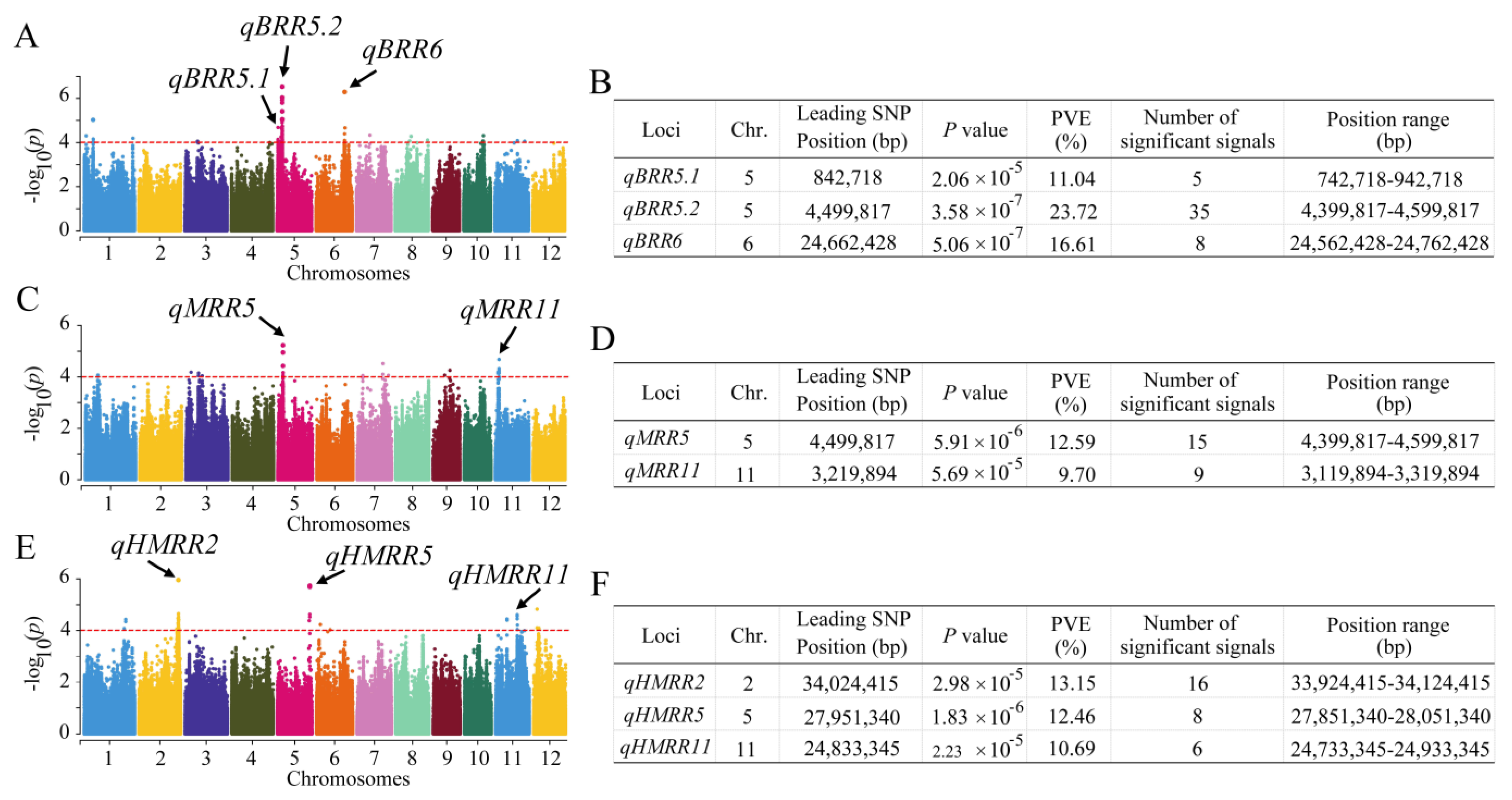 Plants 13 01324 g003 Plants 13 01324 g003