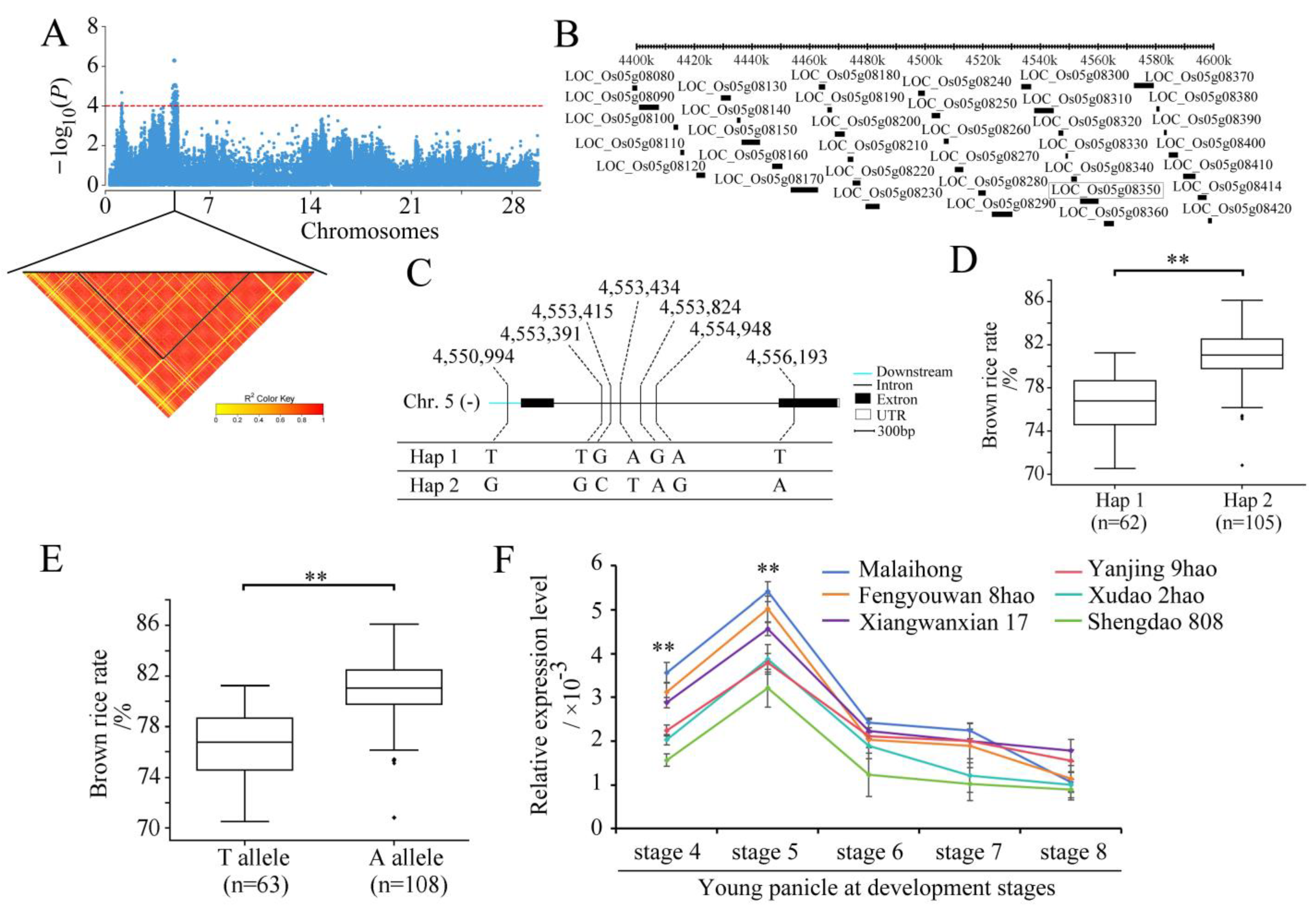 Plants 13 01324 g004 Plants 13 01324 g004
