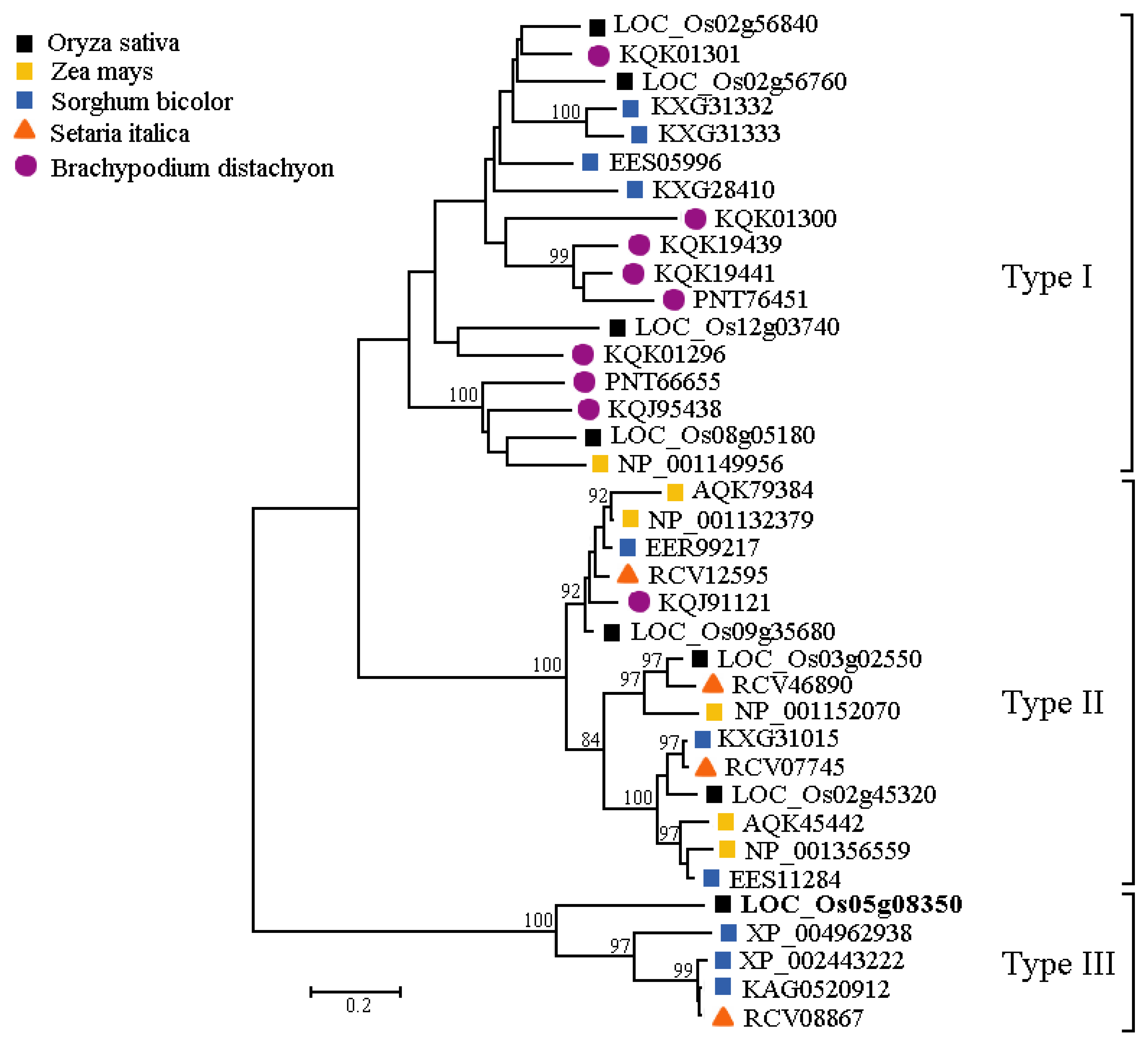 Plants 13 01324 g005 Plants 13 01324 g005