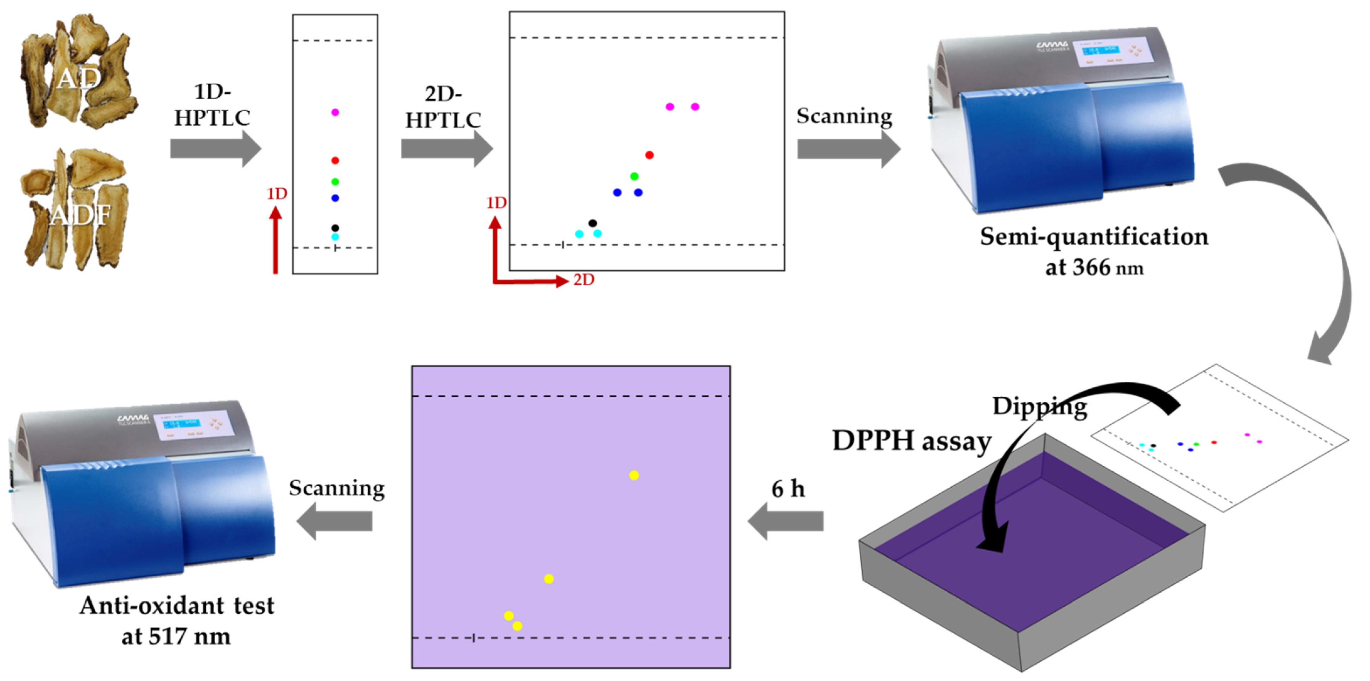Plants 13 01348 g005