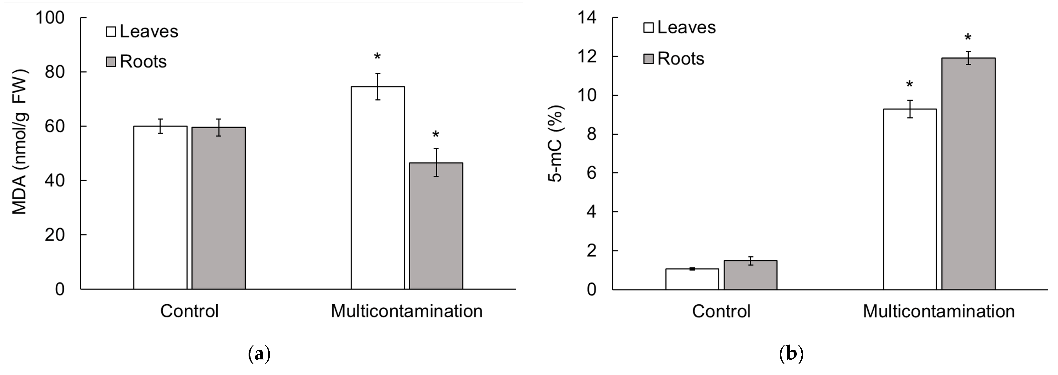 Plants 13 01356 g002