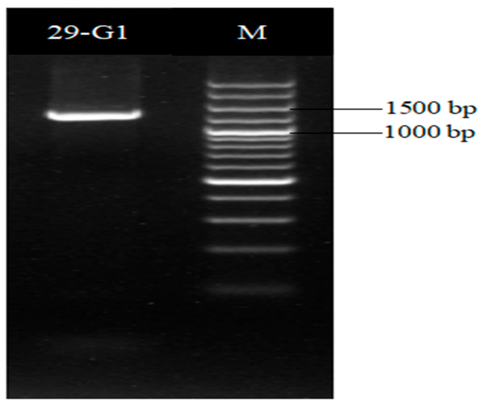 Plants 13 01366 g008