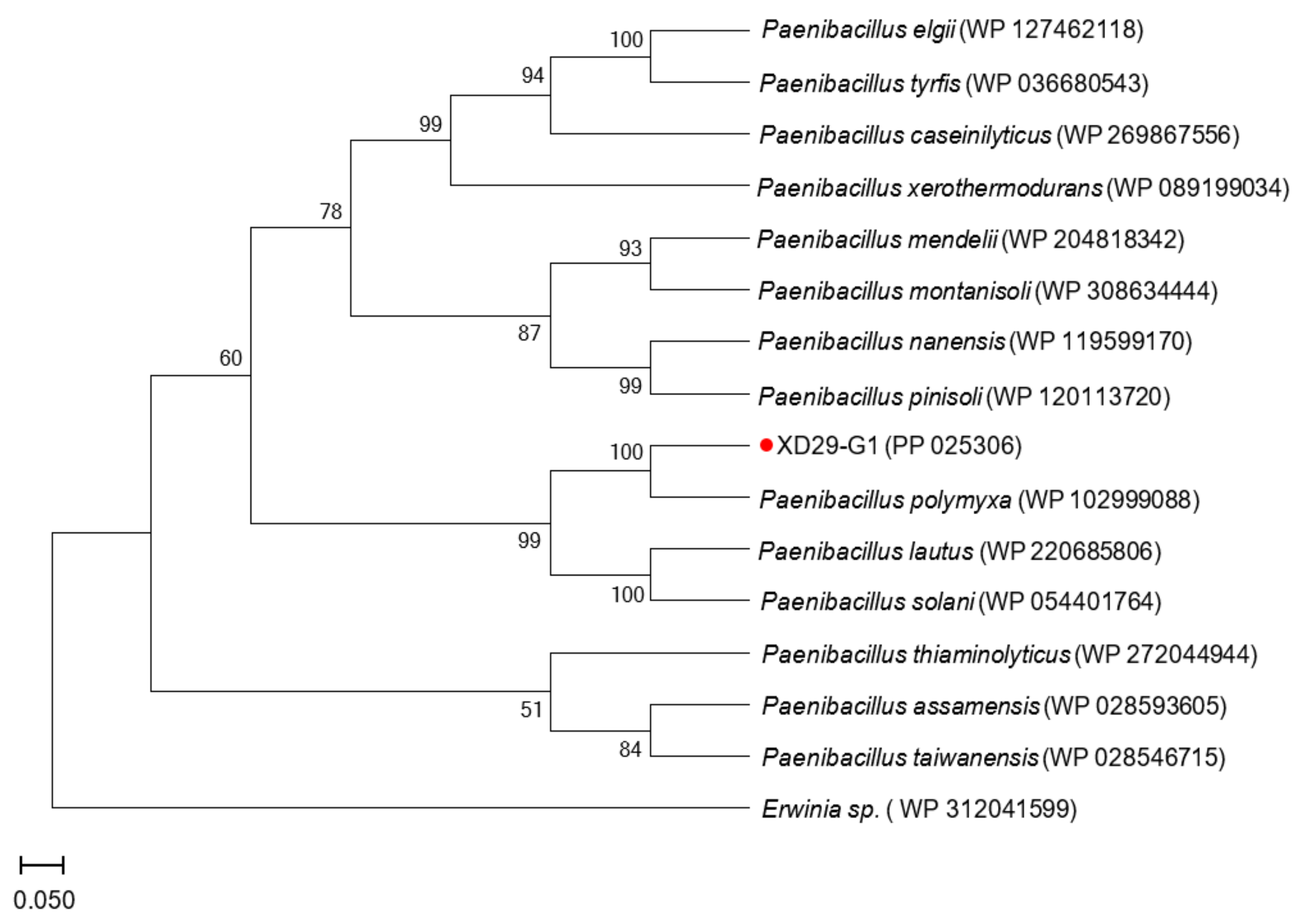 Plants 13 01366 g009