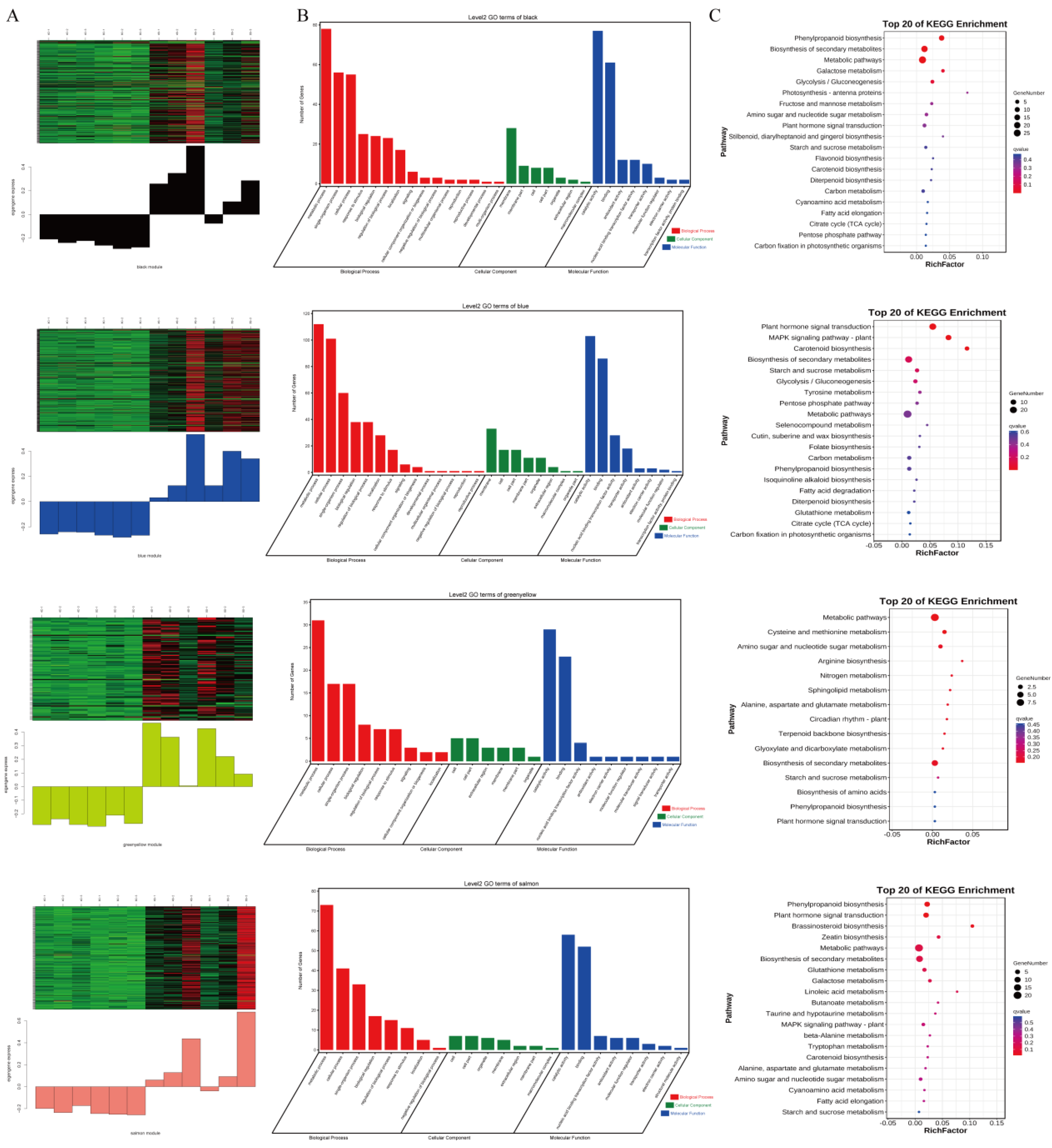 Plants 13 01383 g006