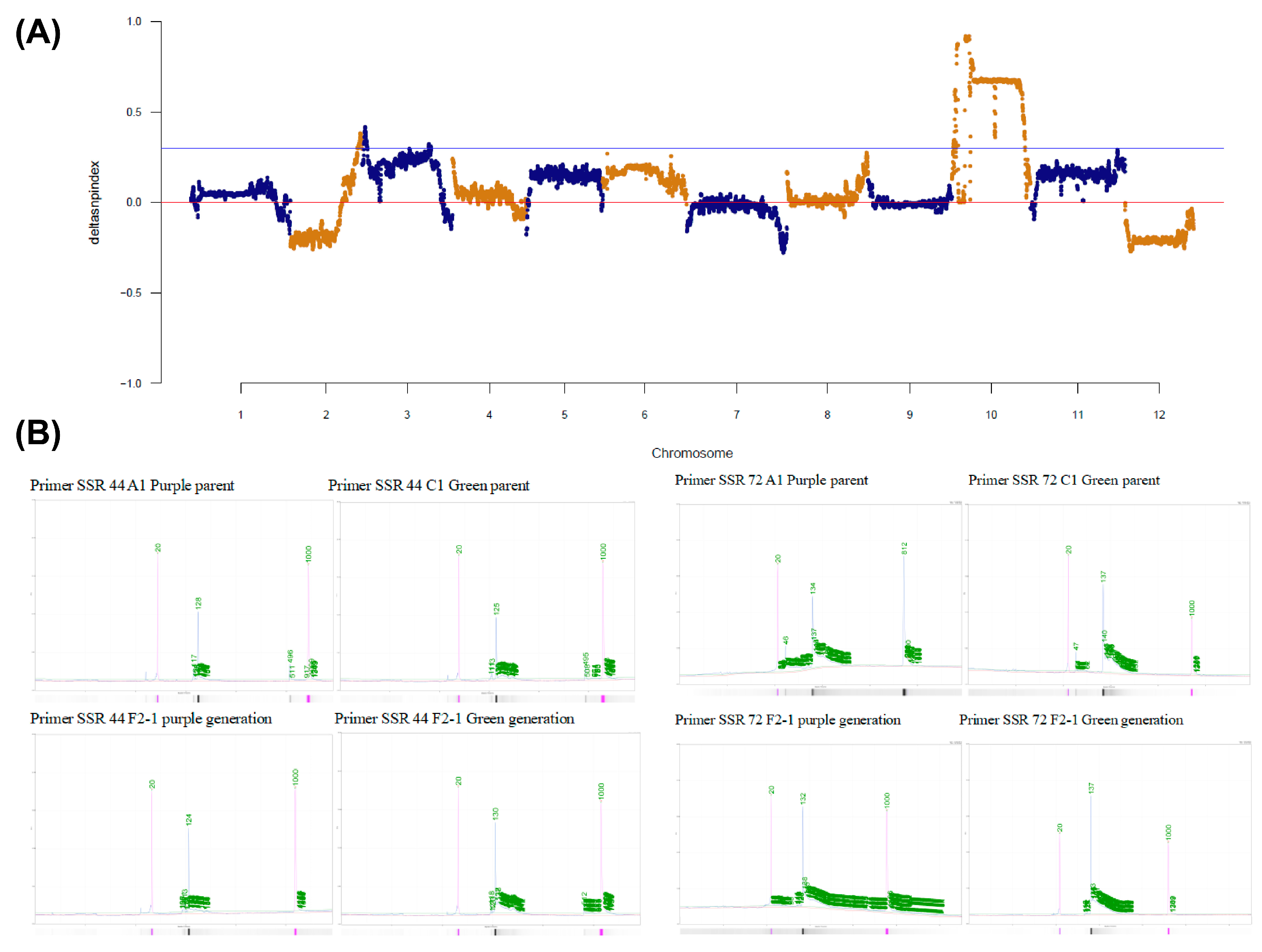 Plants 13 01385 g002