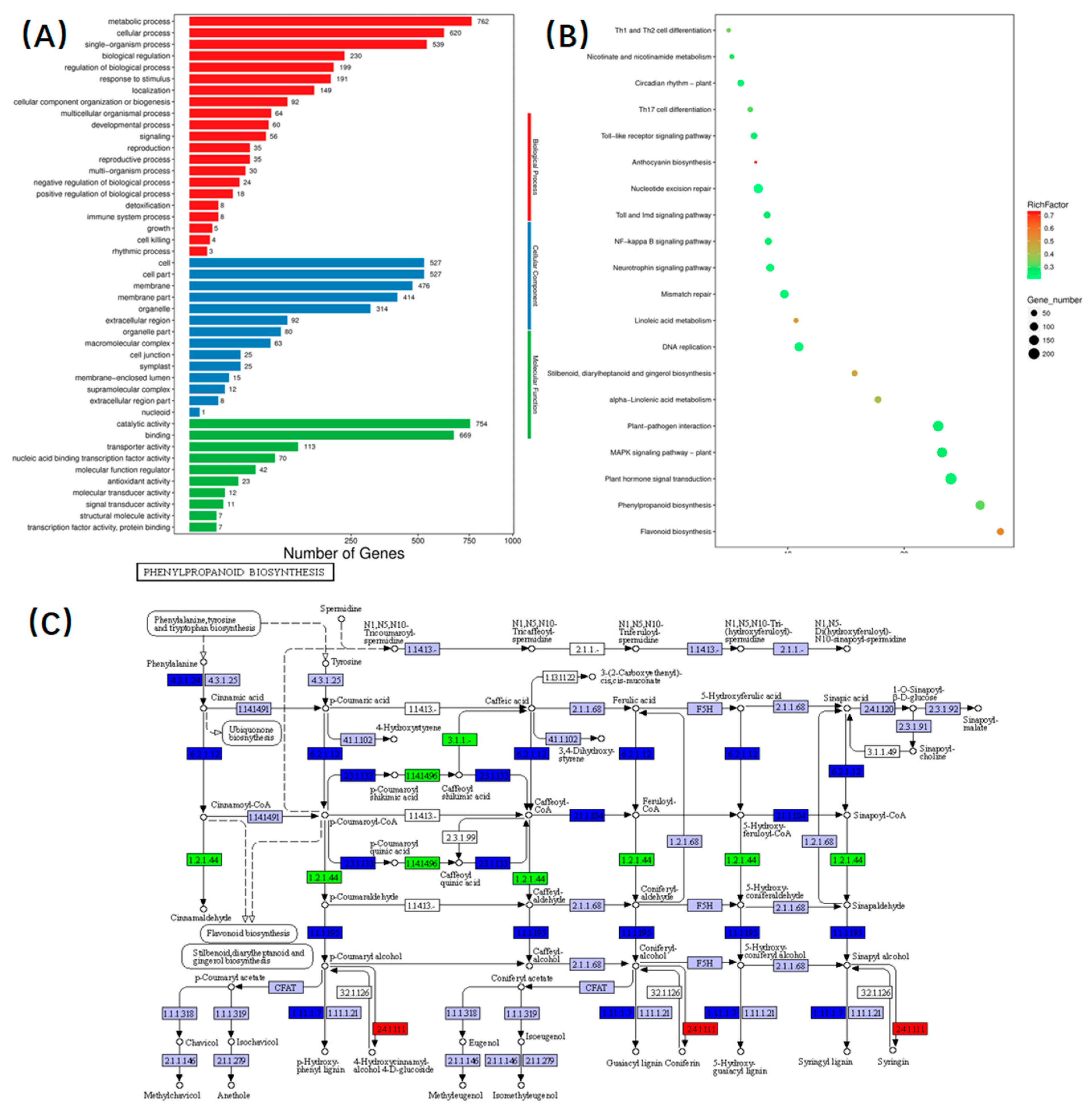Plants 13 01385 g004