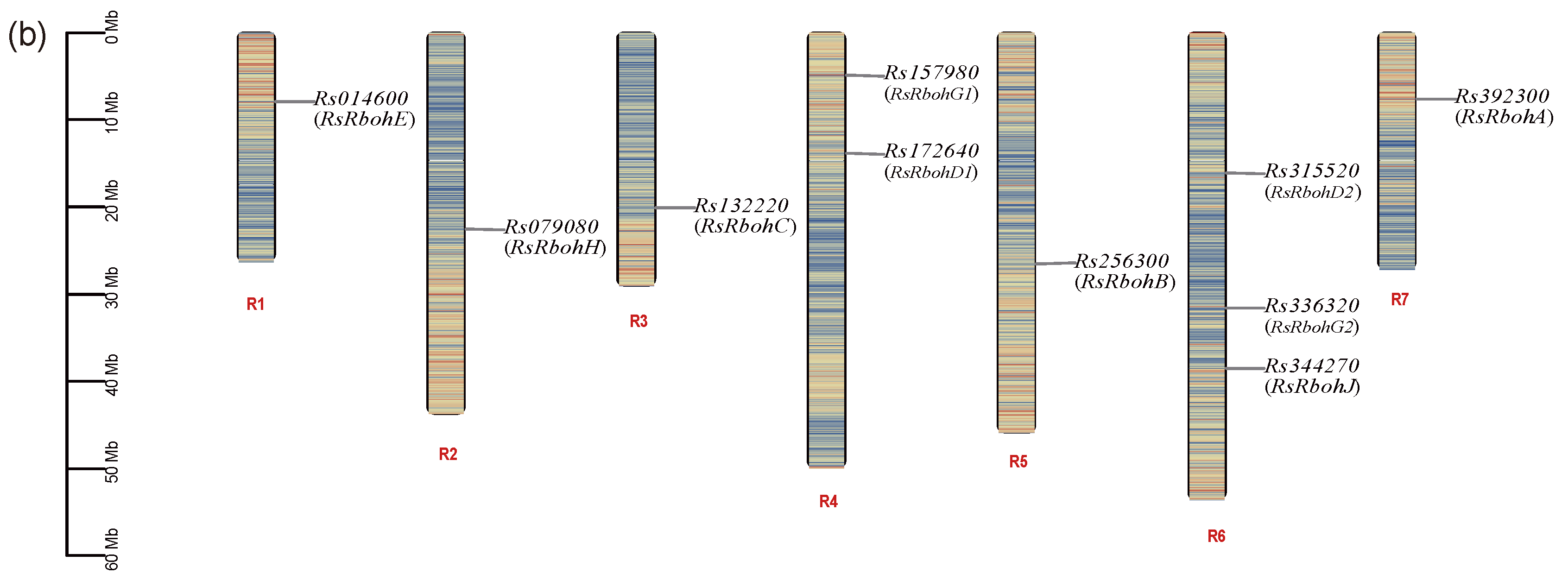 Plants 13 01386 g003b