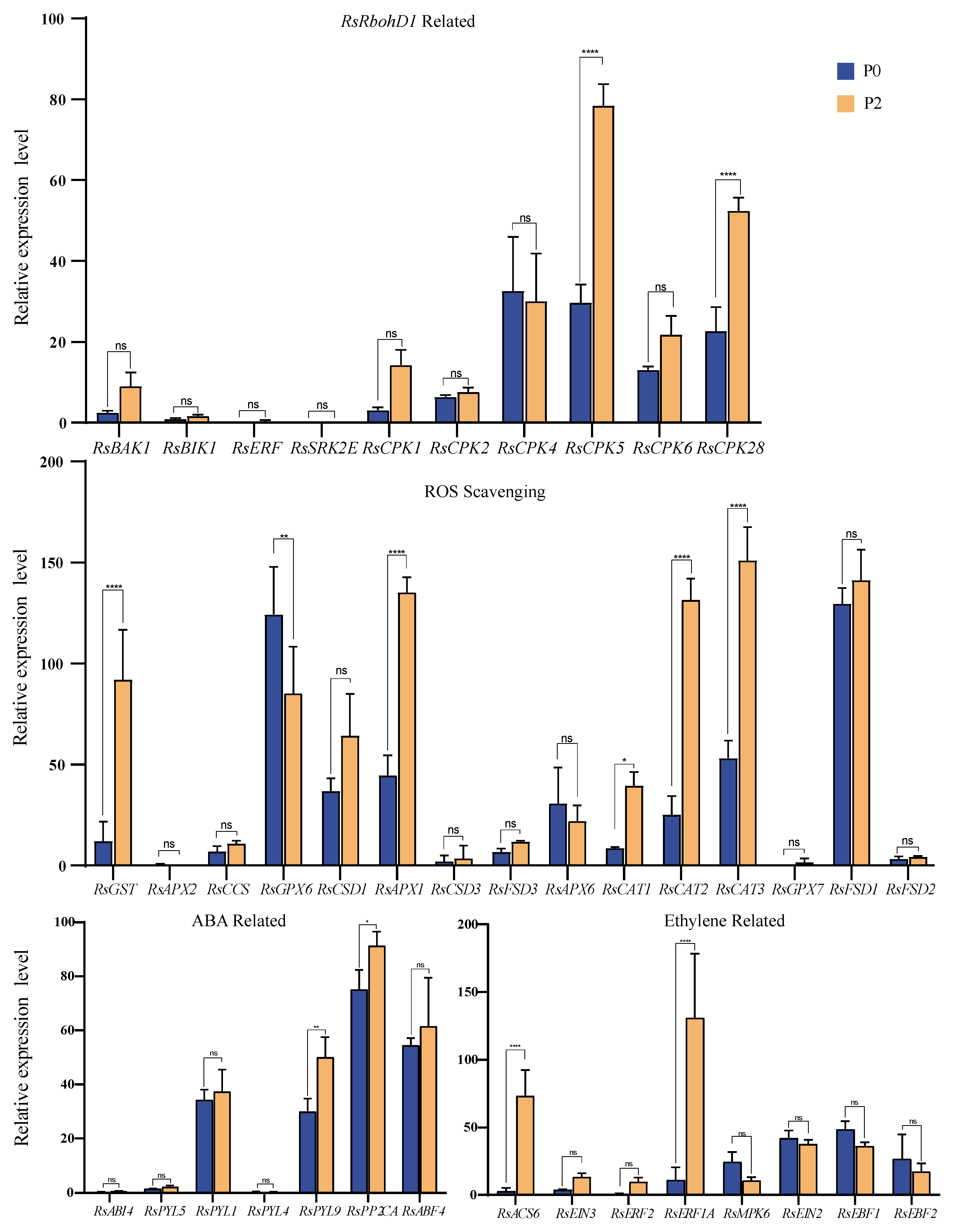 Plants 13 01386 g007