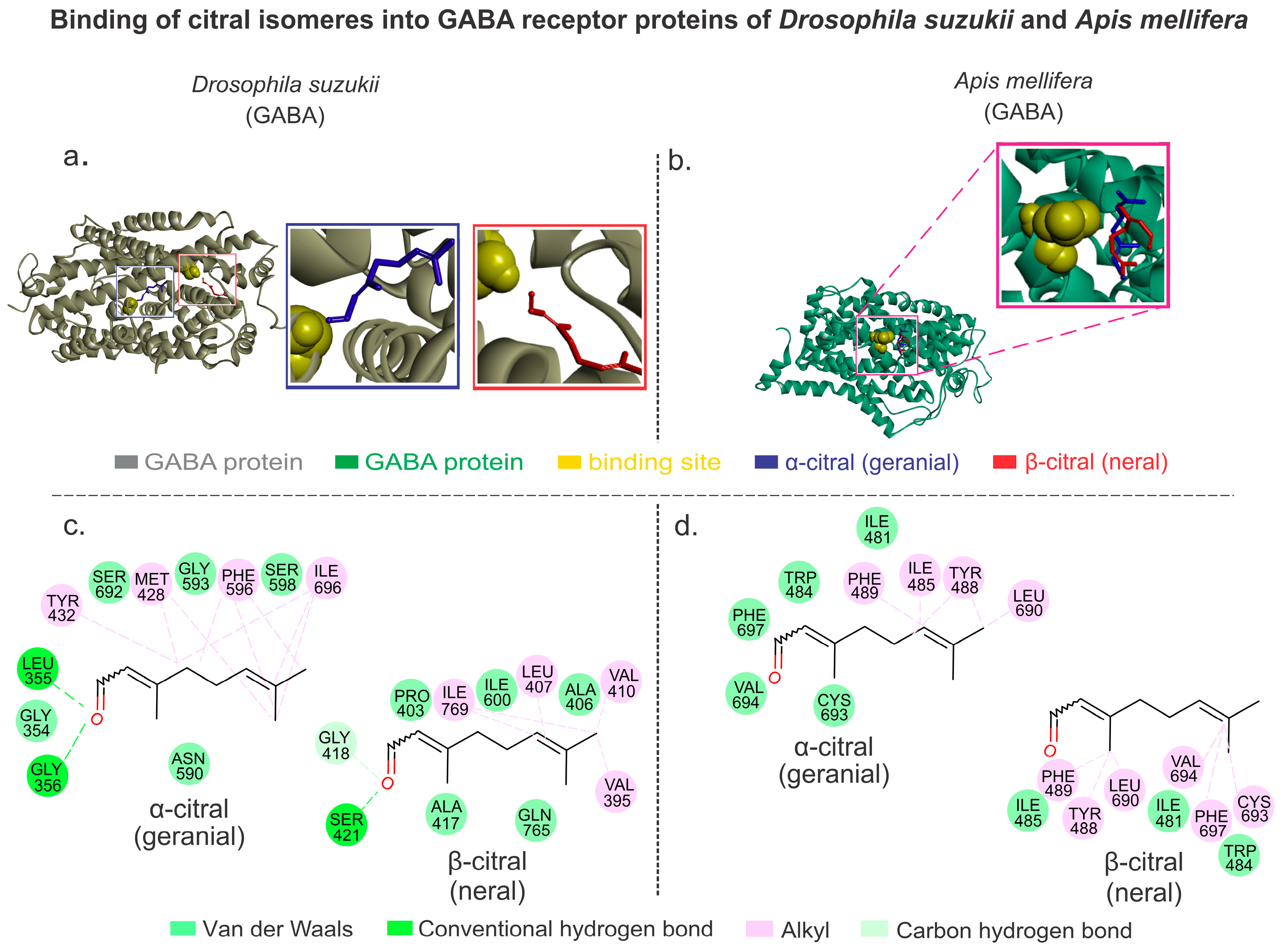 Plants 13 01392 g003