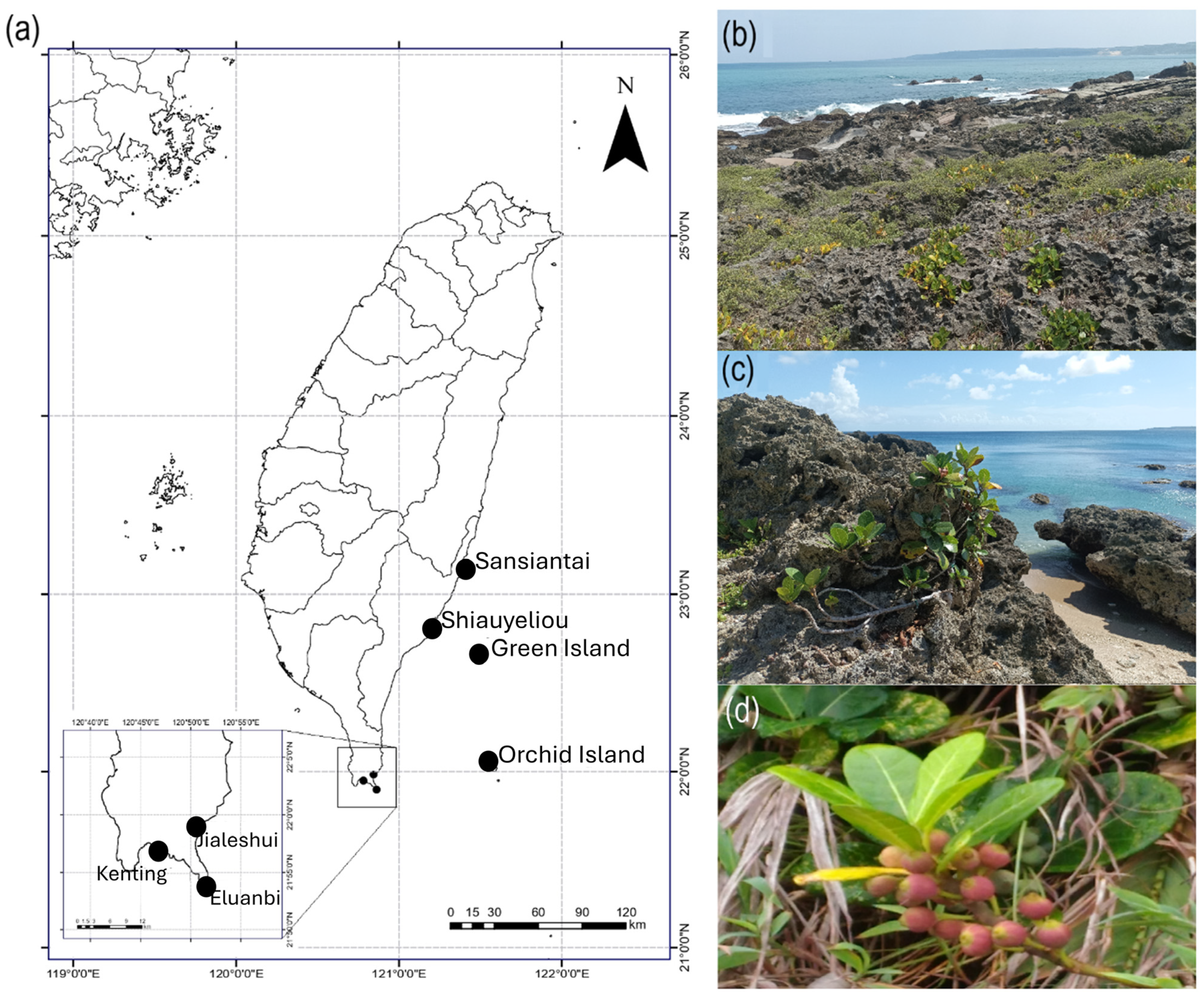 Plants 13 01398 g001