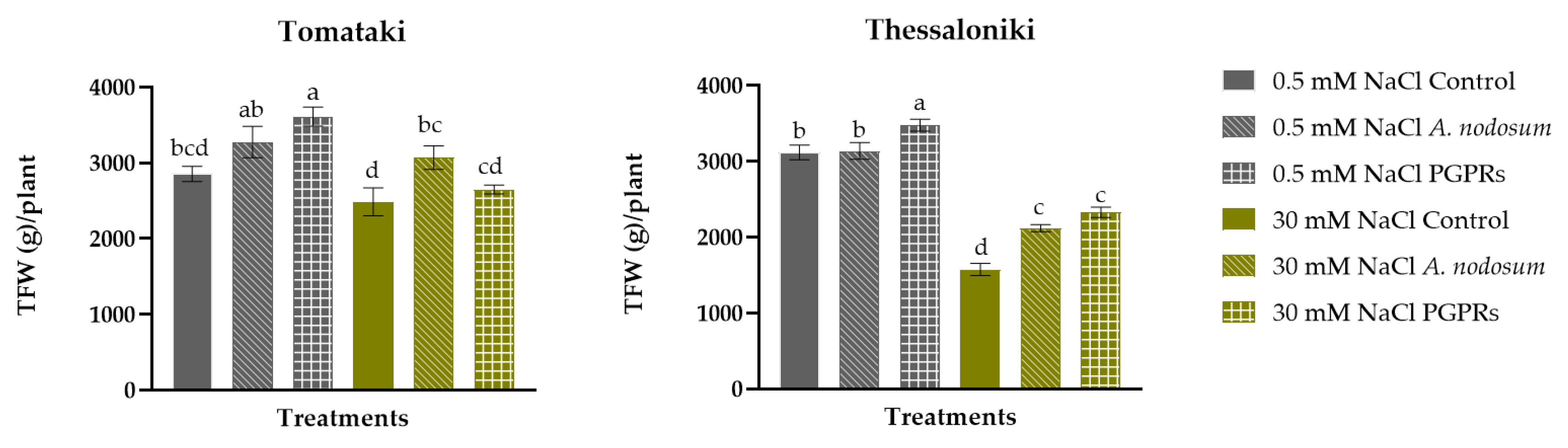 Plants 13 01404 g001