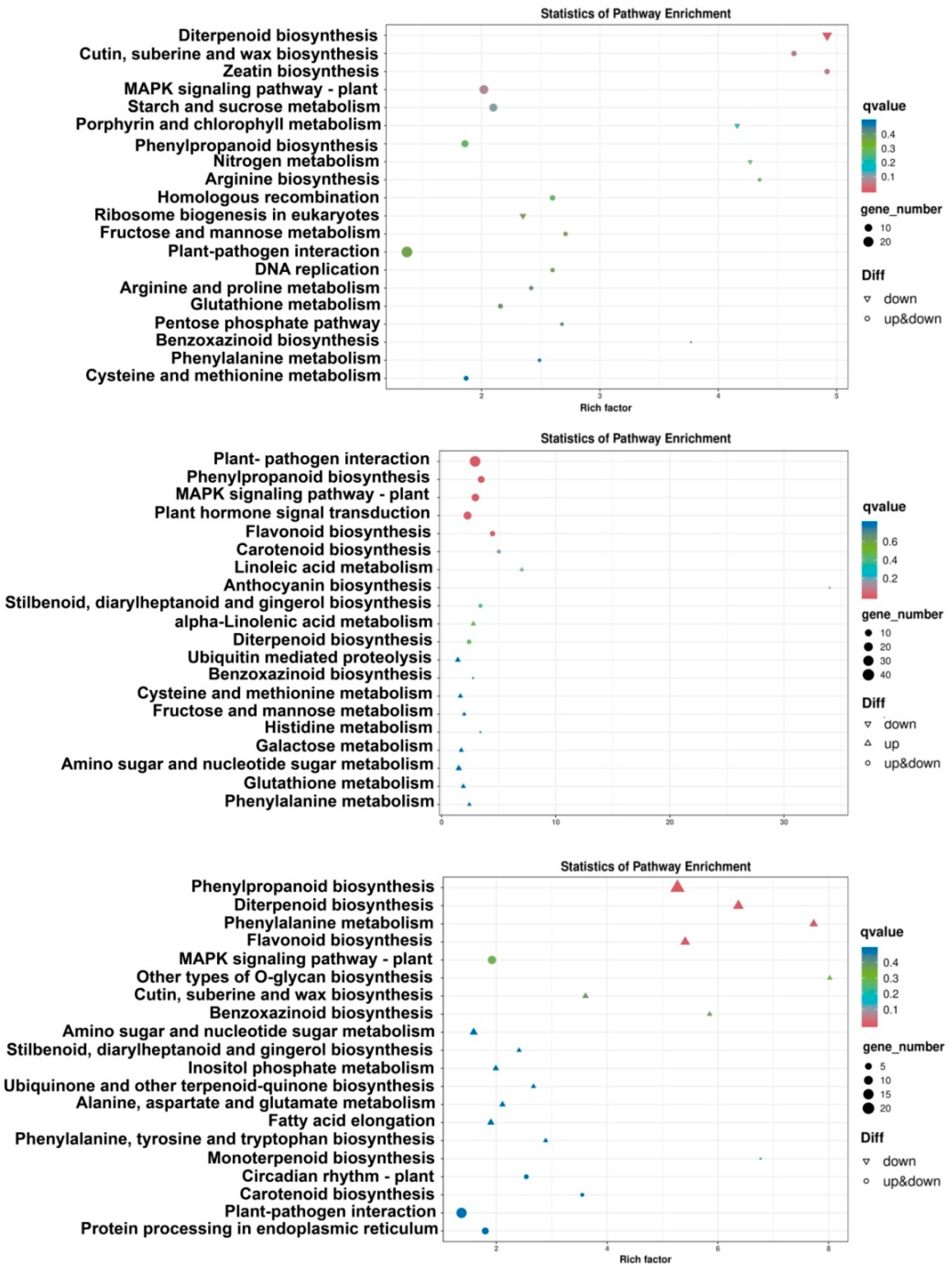 Plants 13 01411 g003
