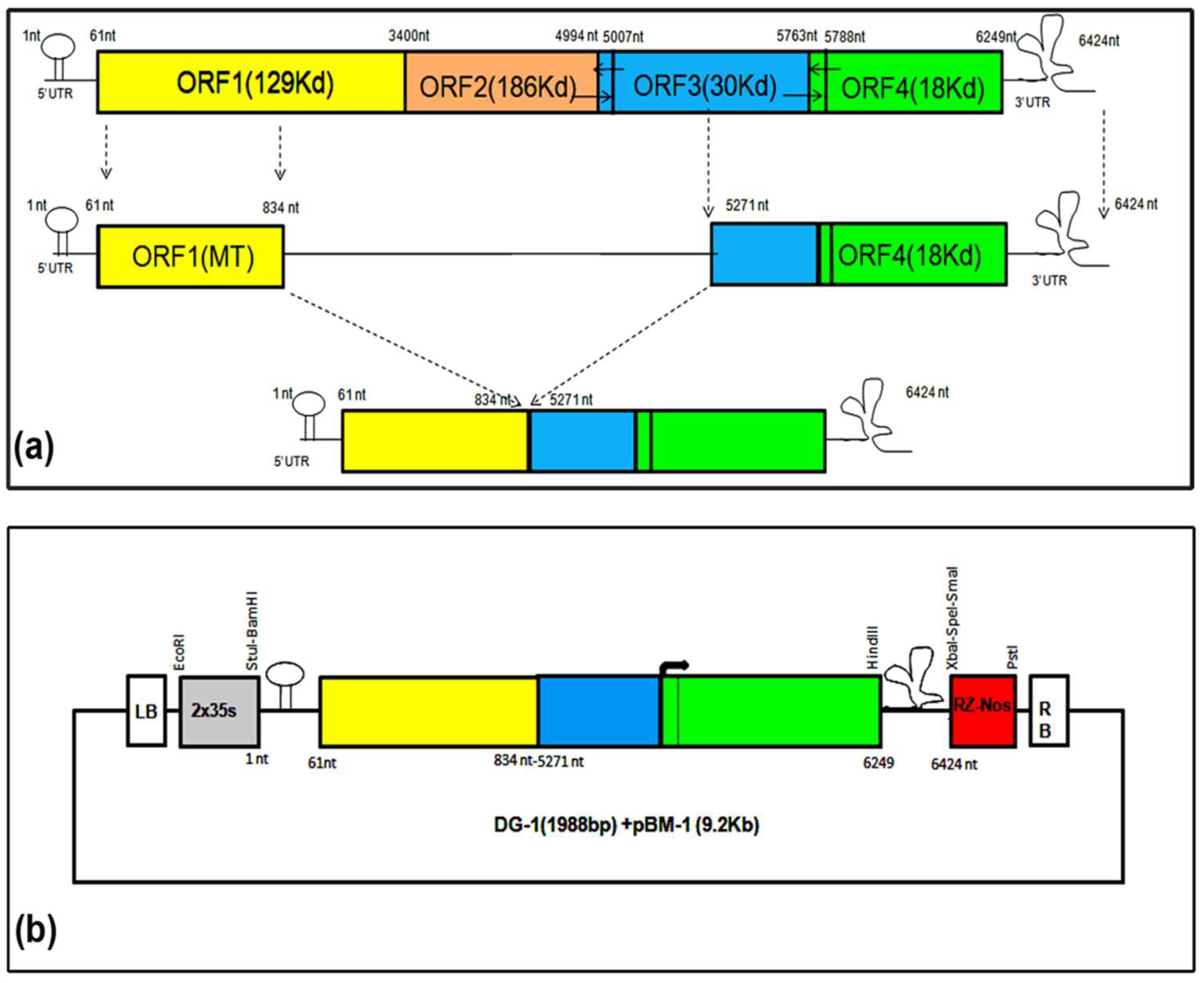 Plants 13 01414 g001 Plants 13 01414 g001