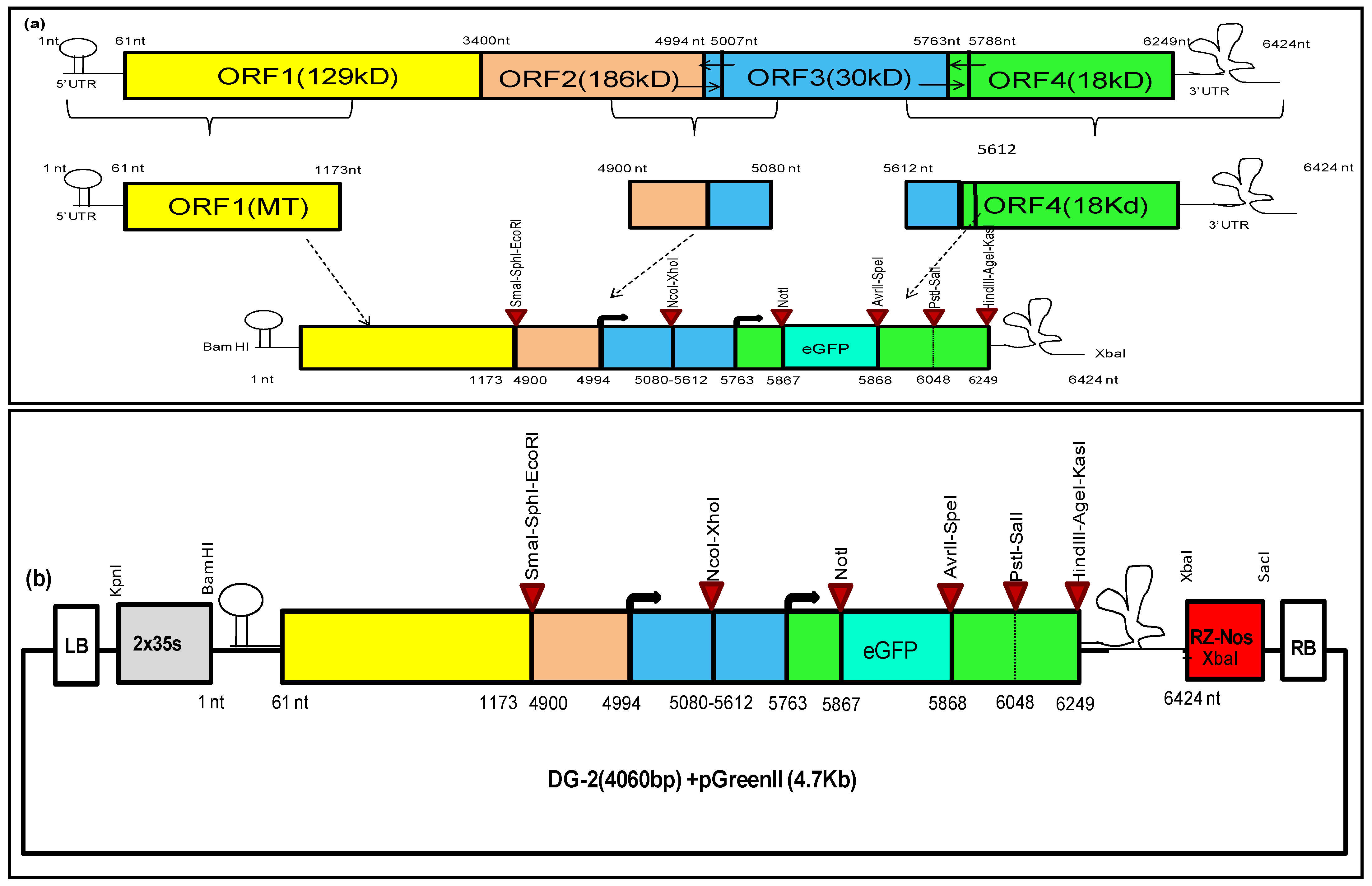 Plants 13 01414 g002 Plants 13 01414 g002